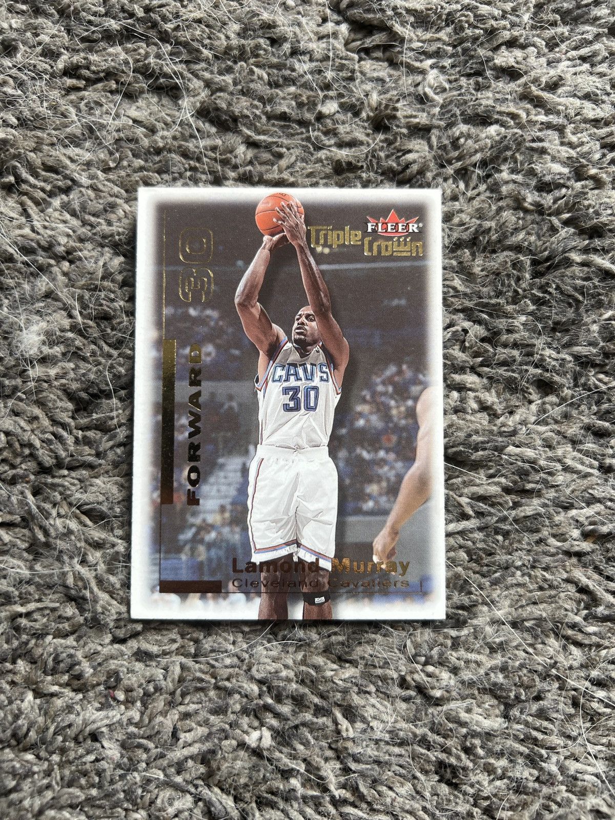 NBA 2001 Fleer #205 Lamond Murray Card Size ONE SIZE - 1 Thumbnail