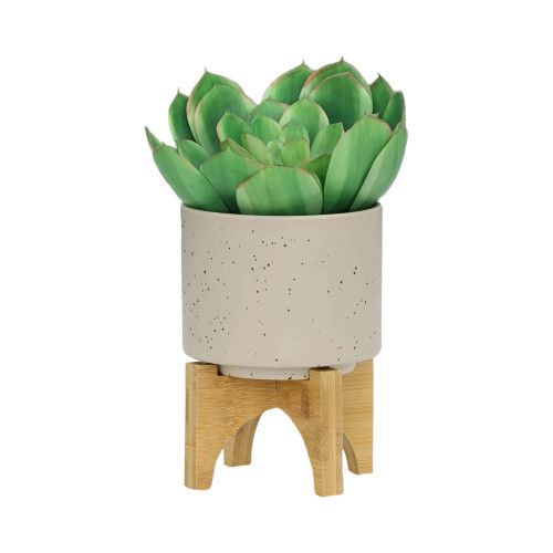 Designer × Homemade S/2 5/8" PLANTER W/ WOOD STAND, MATTE BEIGE Size US L / EU 52-54 / 3 - 4 Thumbnail
