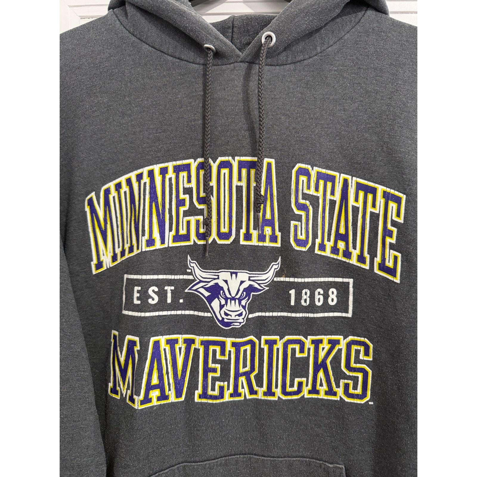 Champion Minnesota State Mankato Mavericks Hoodie Sweatshirt Size L Size US L / EU 52-54 / 3 - 2 Thumbnail