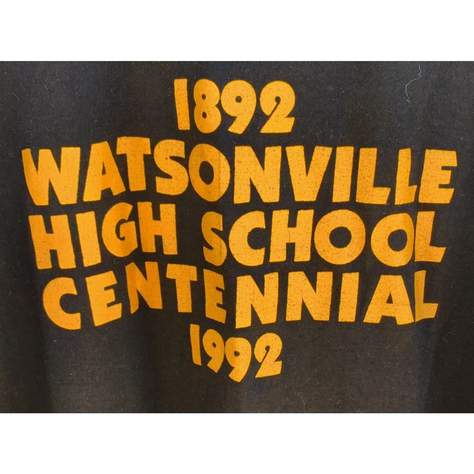 Hanes VINTAGE Watsonville High School Centennial 1992 We Feed The Cats T Shirt XL Hanes Fifty-Fifty Black Short Sleeve Mens Size US XL / EU 56 / 4 - 6 Thumbnail