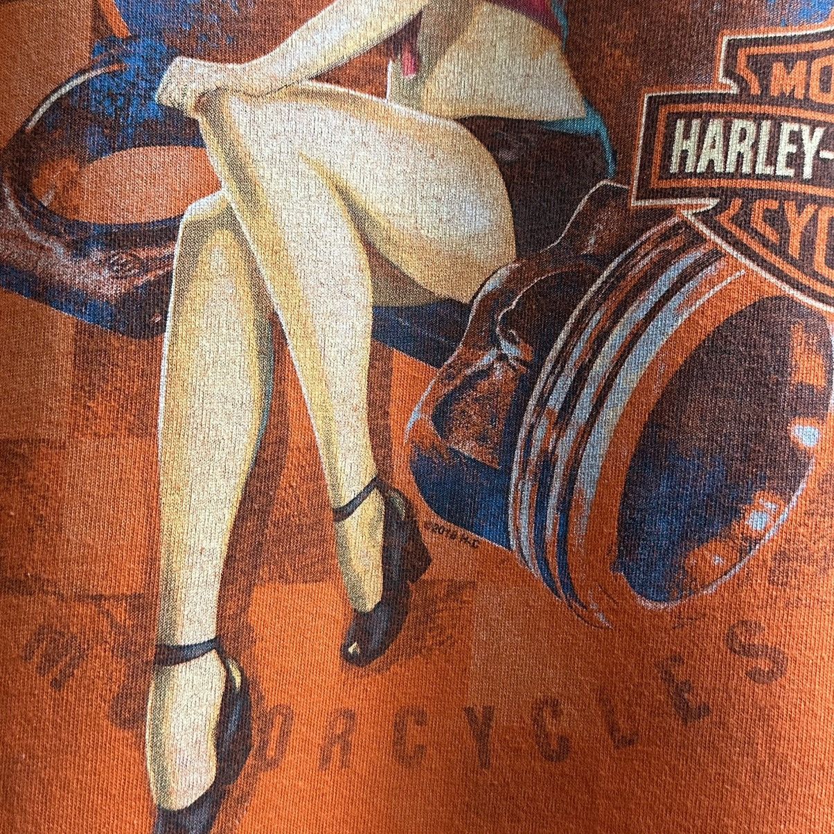 Harley Davidson VINTAGE Y2K HARLEY DAVIDSON SAN JACINTO GRAPHIC TEE Size US L / EU 52-54 / 3 - 10 Thumbnail