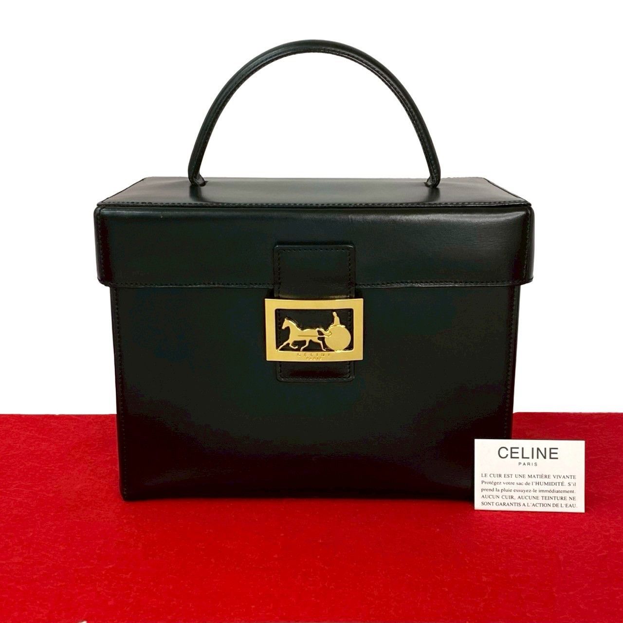 Celine Celine Celine Leather Handbag Leather Vanity Bag DUTY FREE for USA Size ONE SIZE - 1 Thumbnail