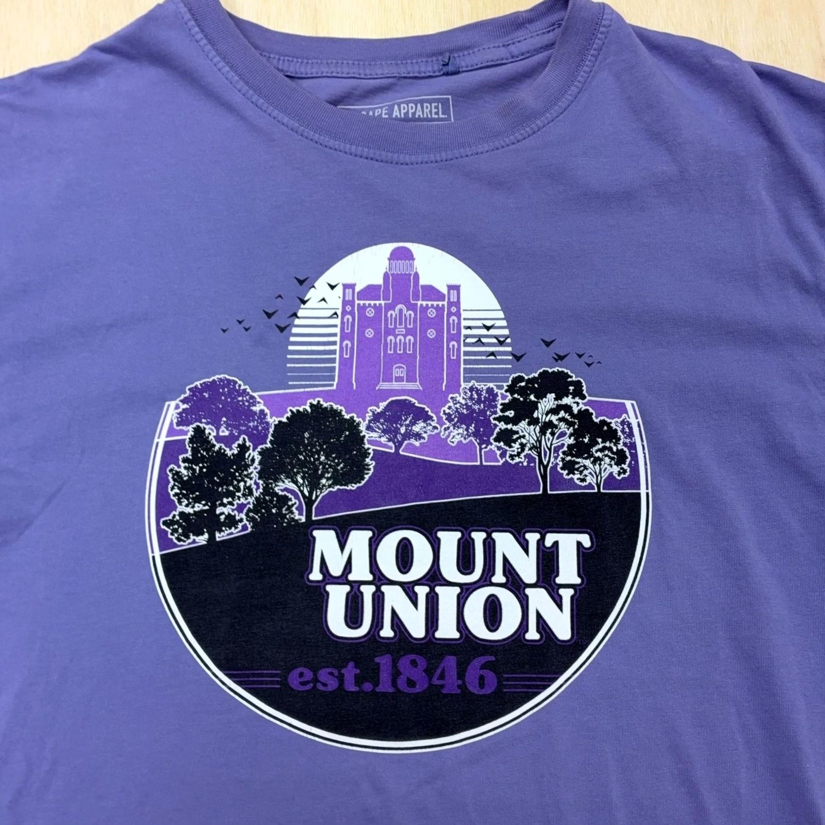 Vintage Uscape Apparel Mount Union Shirt Mens Medium Purple College Graphic Tee T-Shirt Size US M / EU 48-50 / 2 - 2 Thumbnail