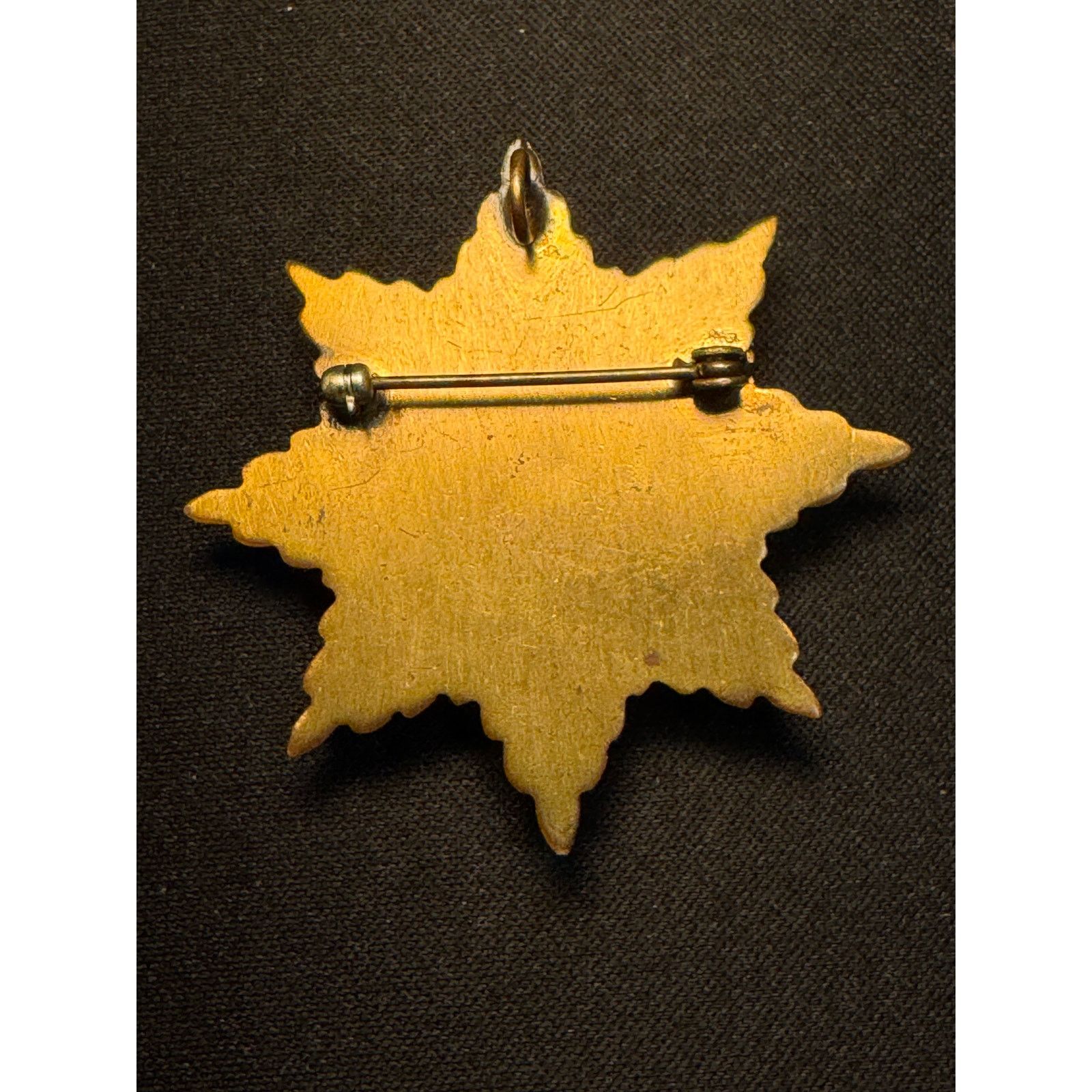 Other Vintage Family Crest Brooch Starburst Gold Tone Coat of Arms Size ONE SIZE - 5 Thumbnail