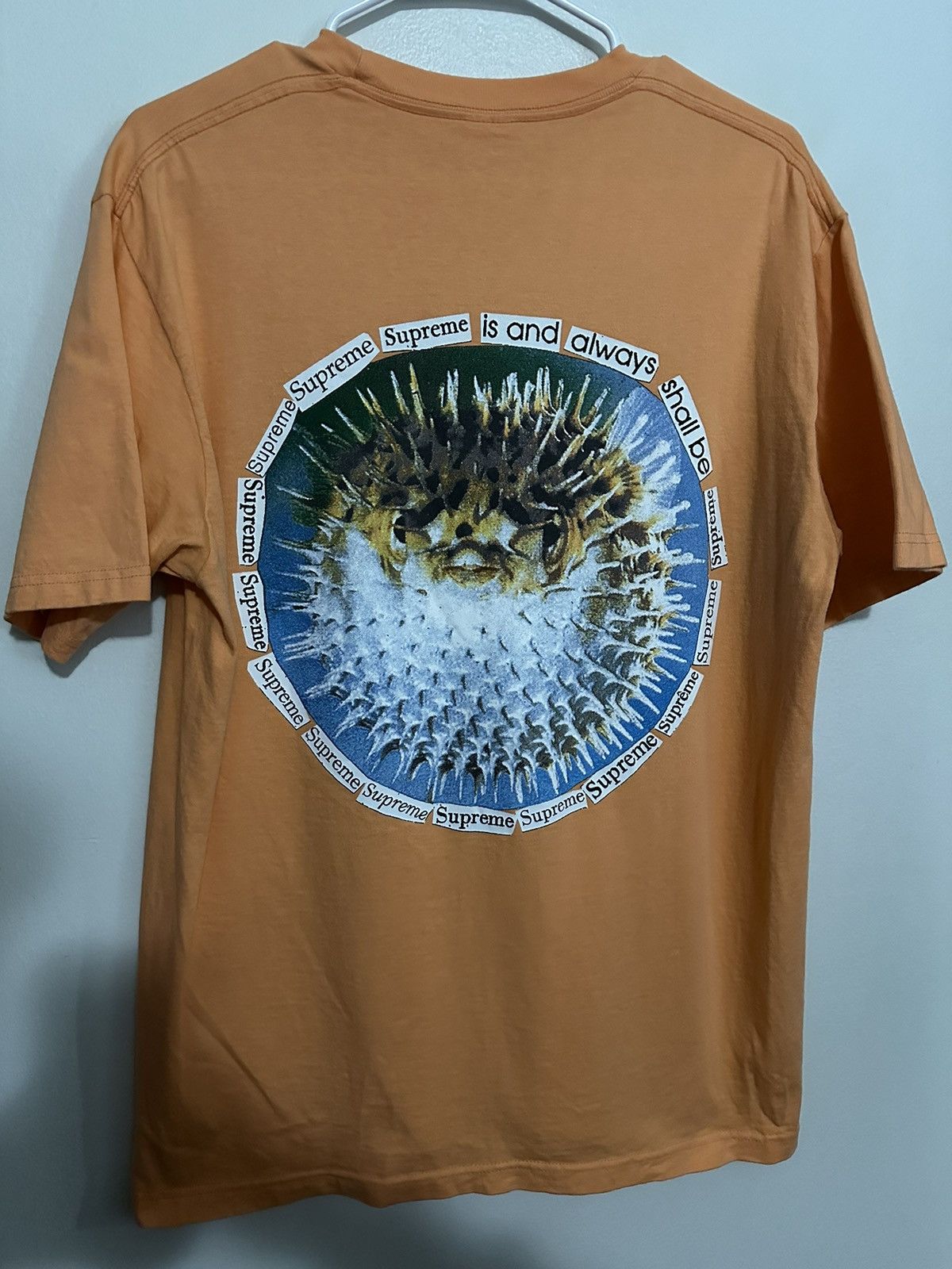 Supreme Supreme Blowfish Tee Size US M / EU 48-50 / 2 - 1 Thumbnail