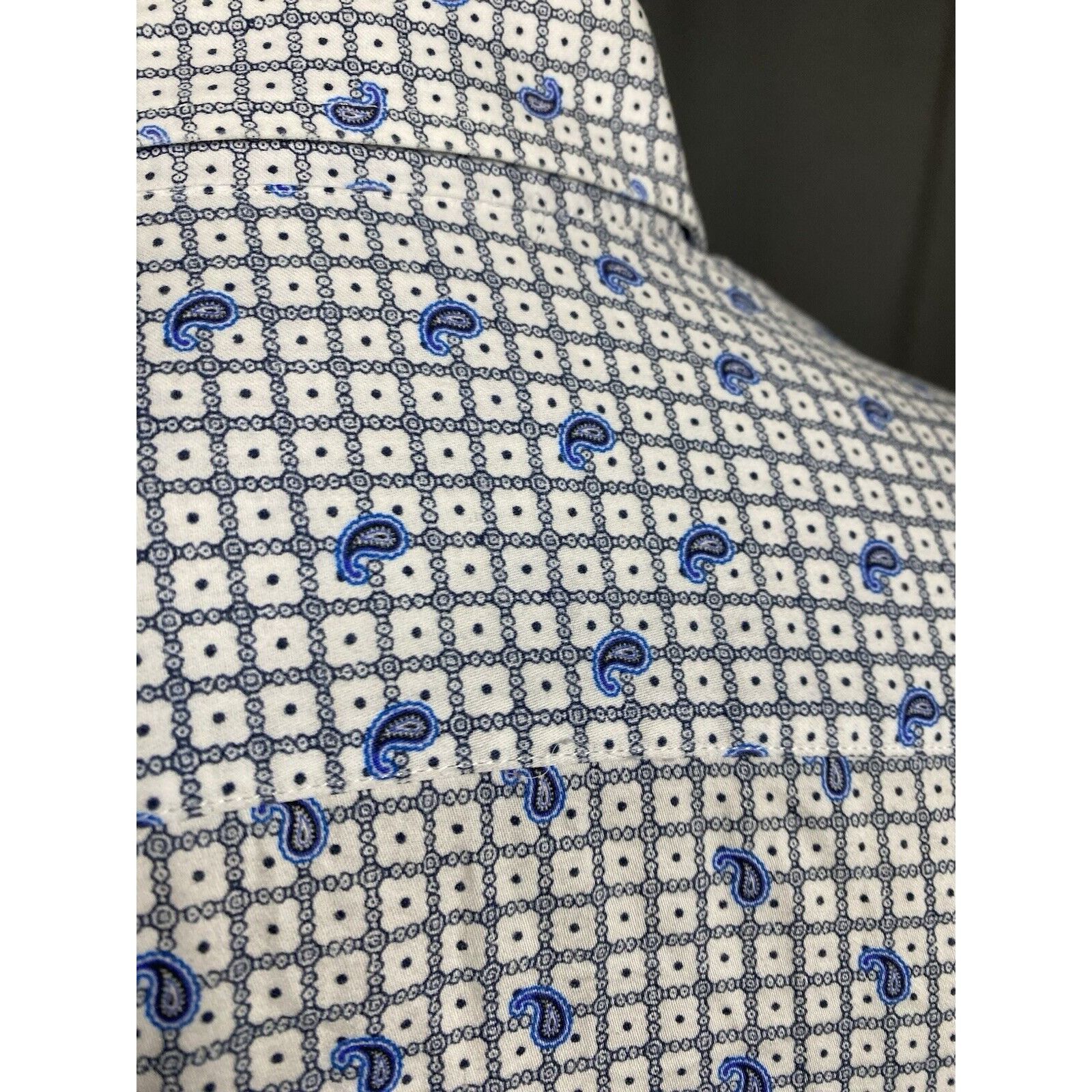 Etro Etro Paisley Men's White Blue Longsleeve Checked Shirt Size Size US S / EU 44-46 / 1 - 9 Thumbnail