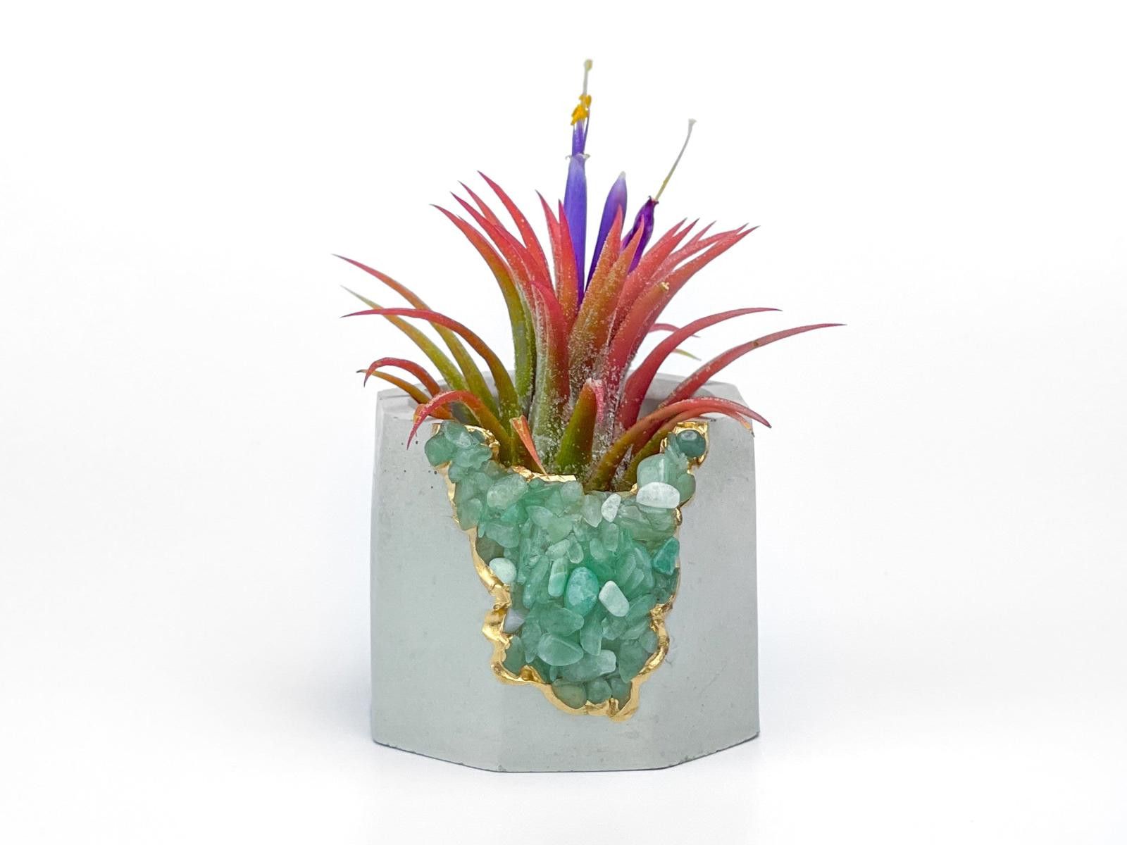 Other Air Plant Holder Geode Planter Air Plant Planter Succulent Size ONE SIZE - 1 Thumbnail