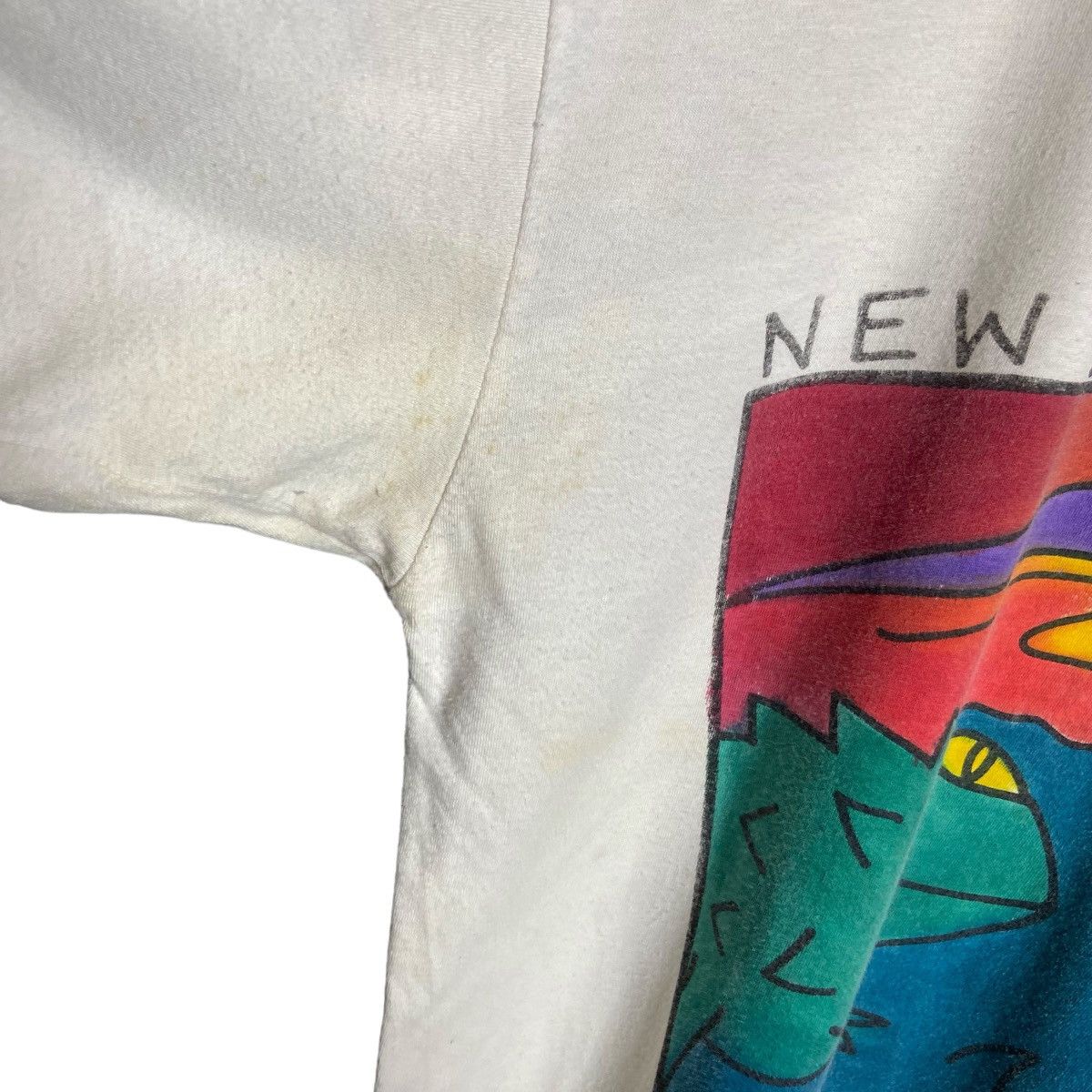 Vintage Vintage 90s New Zealand Tuatara Art Tee Size US L / EU 52-54 / 3 - 8 Thumbnail