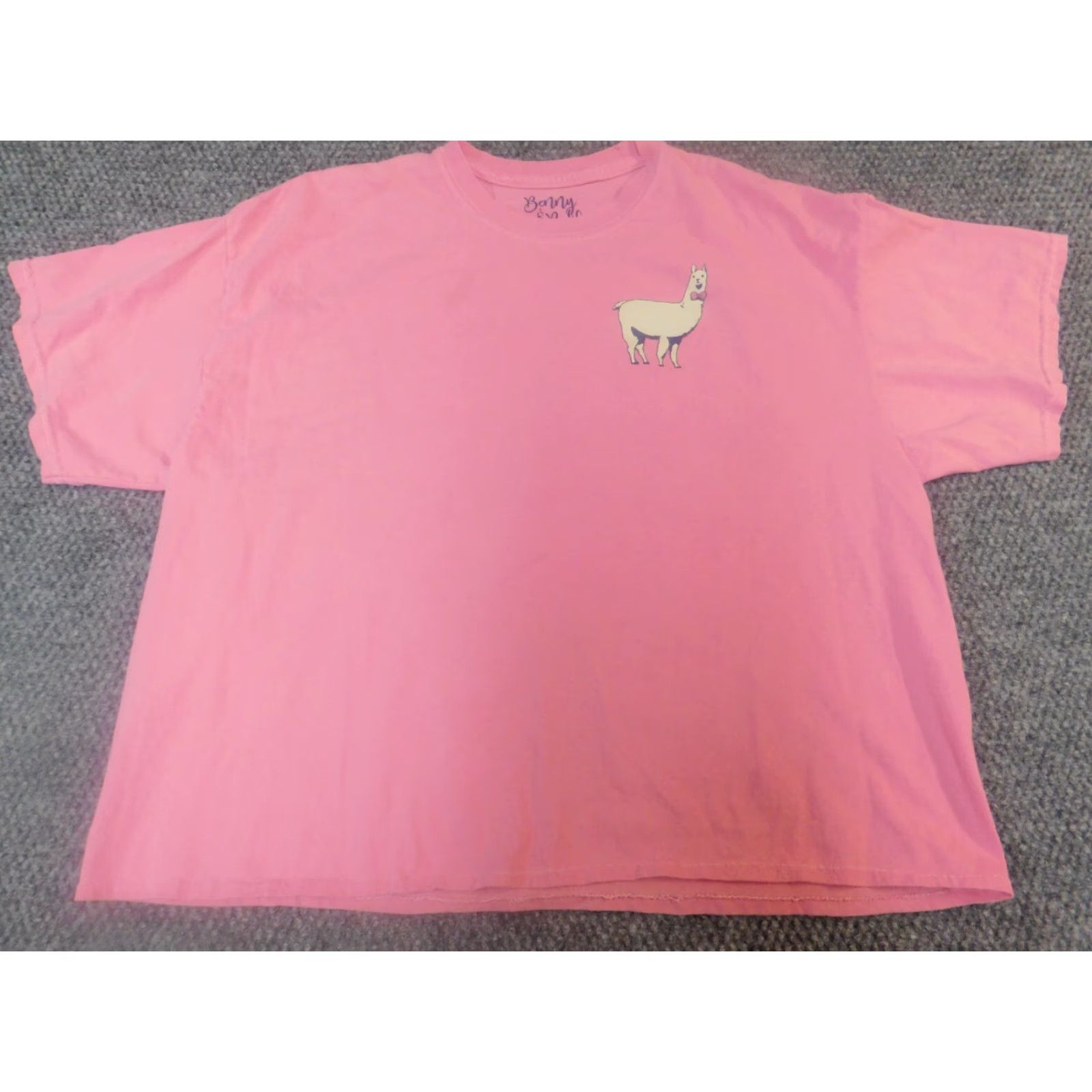 Vintage Benny & Belle Womens XL Pink Plaid T-Shirt Cap Sleeve Collared 100% Cotton Flannel Breathable Casual Modern Vintage: No Size XL / US 12-14 / IT 48-50 - 4 Thumbnail