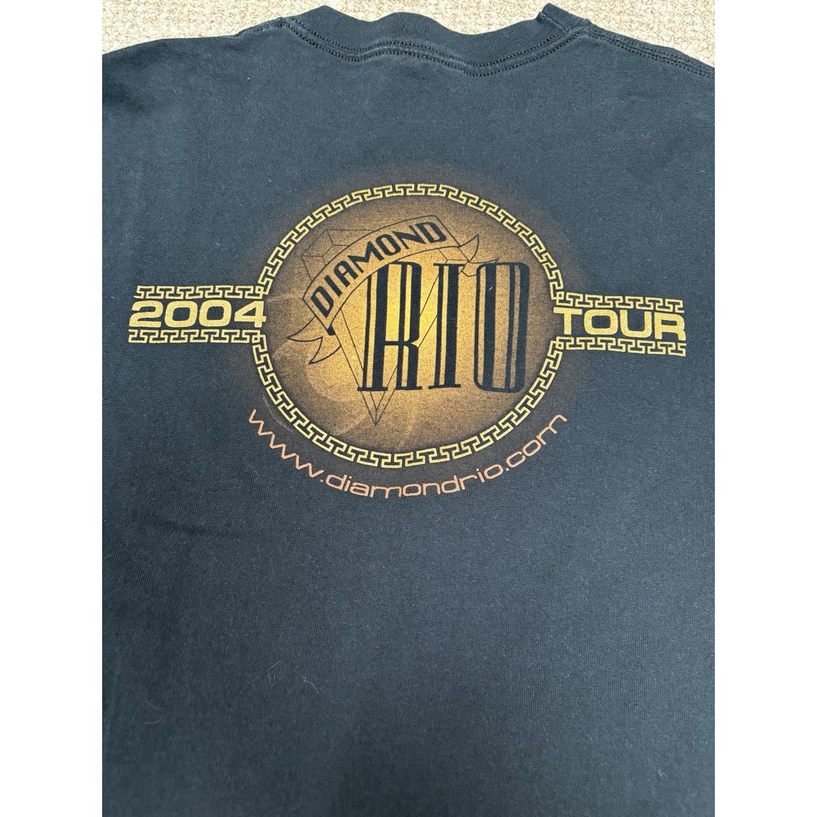 Gildan Vintage Y2K Diamond Rio Band T Shirt Size L Size US L / EU 52-54 / 3 - 4 Thumbnail
