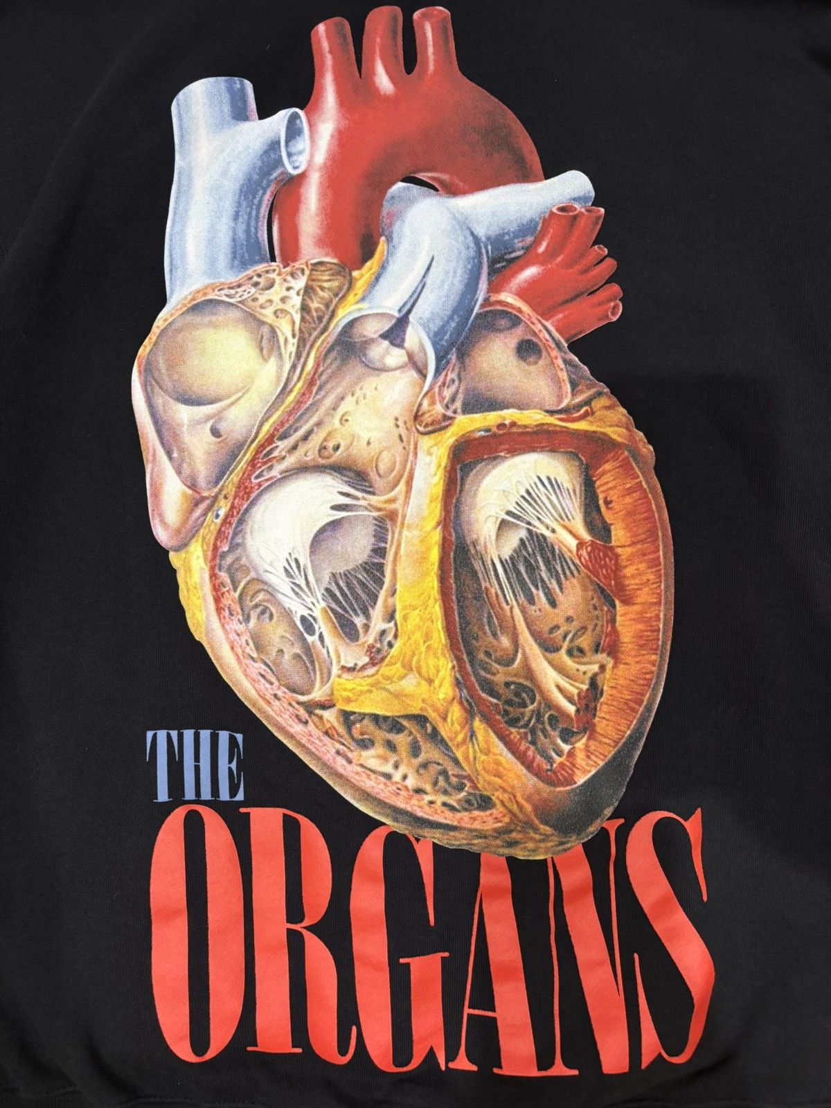 Undercover Undercover Jun Takahashi SS17 The Organs Zip Hoodie Size US M / EU 48-50 / 2 - 4 Thumbnail