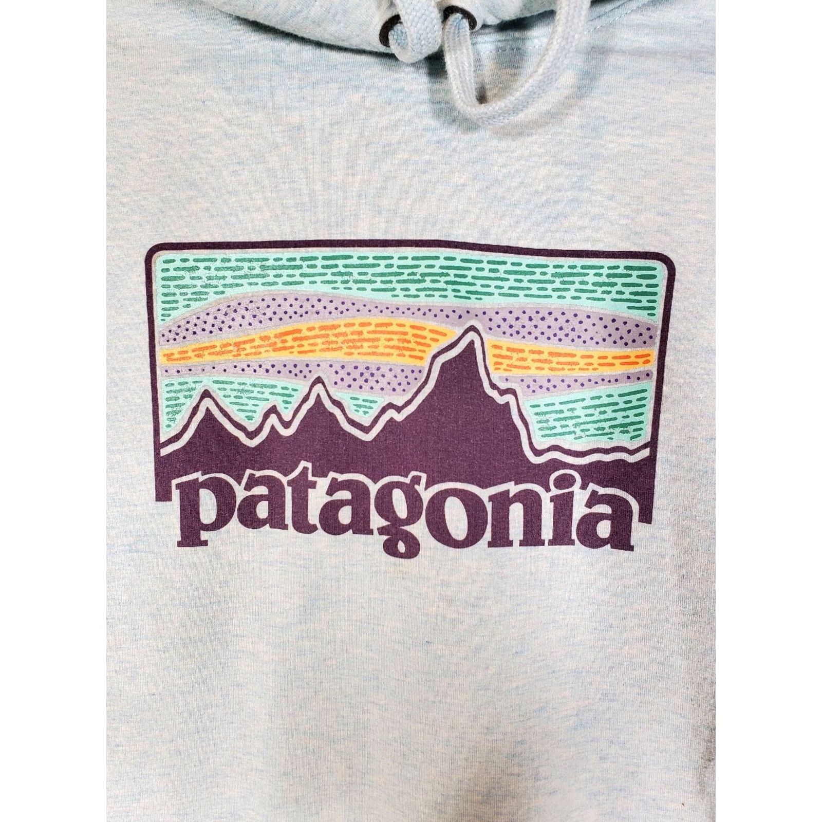 Patagonia Patagonia Sweatshirt Pullover Hoody Logo Heather Blue Women Size M Size M / US 6-8 / IT 42-44 - 4 Thumbnail