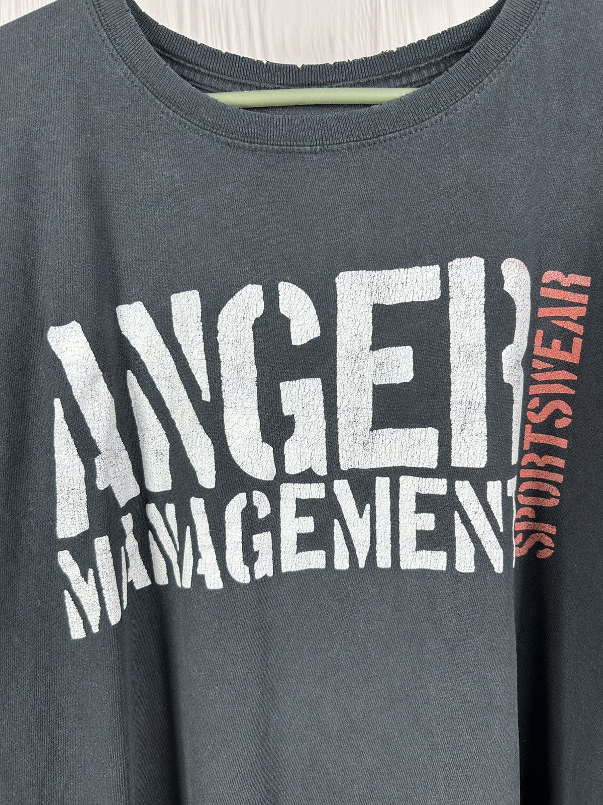 Band Tees Vintage Anger Management The Gym Is My Bitch Distressed Tee Size US XXL / EU 58 / 5 - 6 Thumbnail