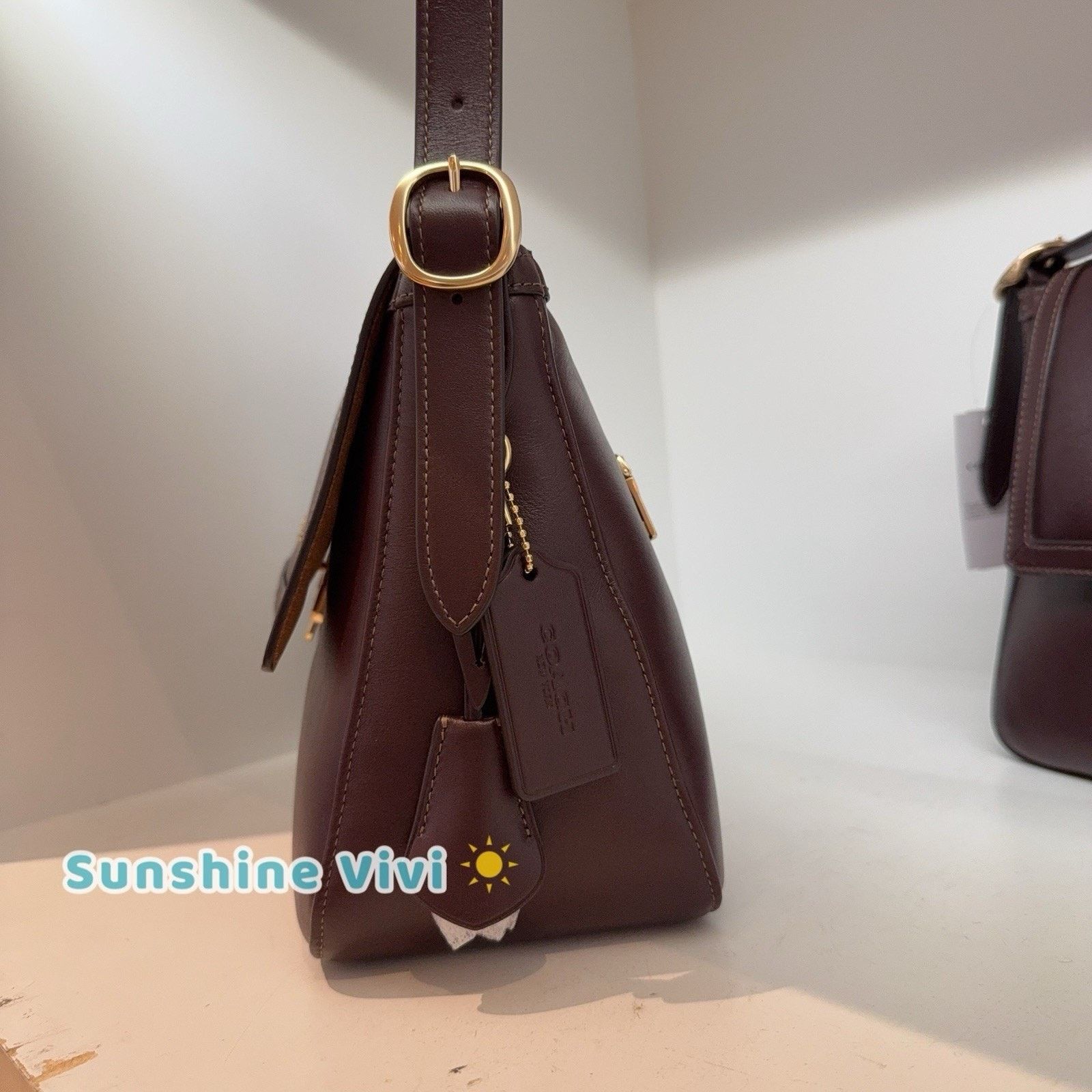 Coach NWT Coach Etta flap bag Leather CCE57 Gold/Espresso Size ONE SIZE - 7 Thumbnail