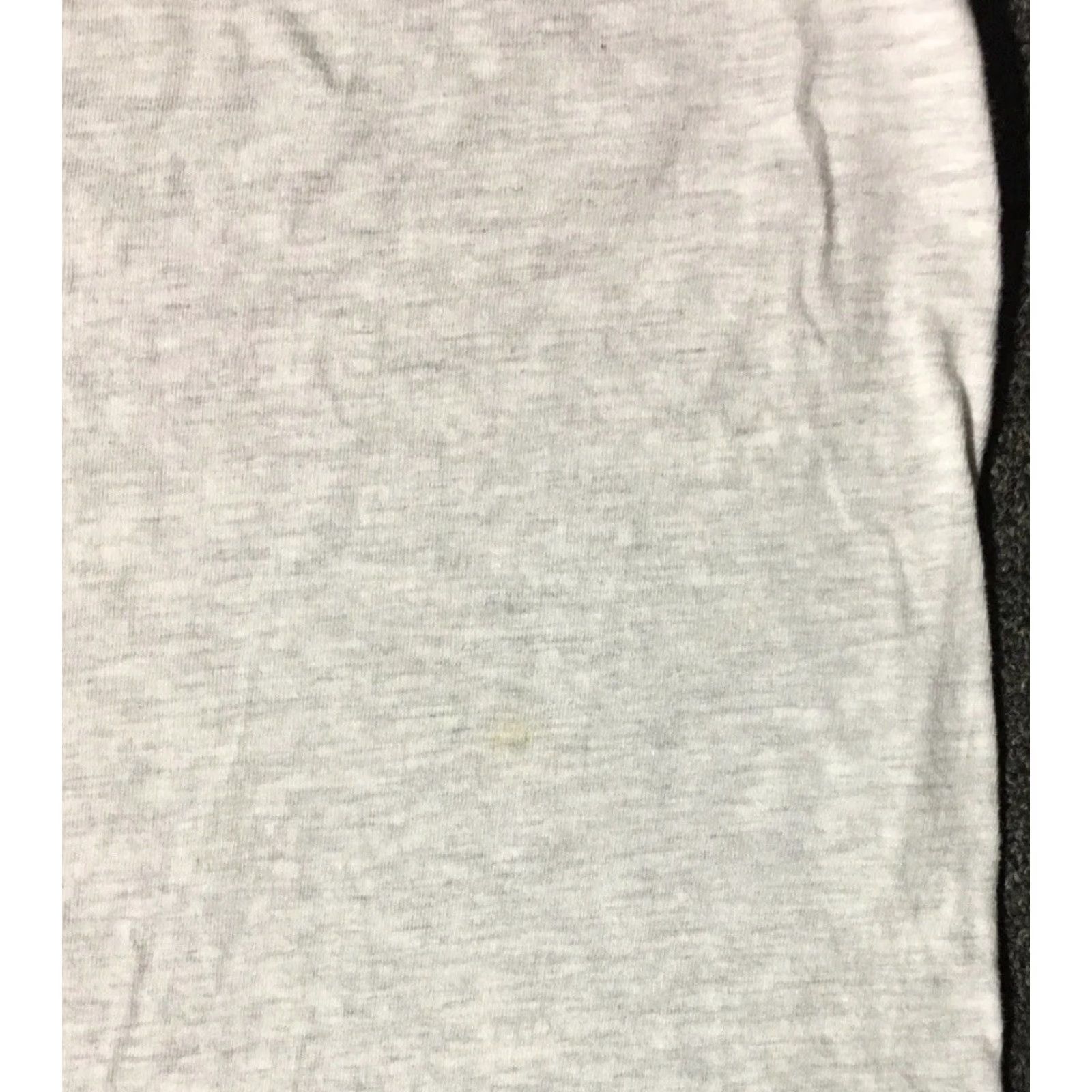 Champion VINTAGE Payson Arizona Softball Champions Shirt XL Gray Single Stitch T-Shirt Men 90s Grunge School Baseball Track & Field USA USA Size US XL / EU 56 / 4 - 6 Thumbnail