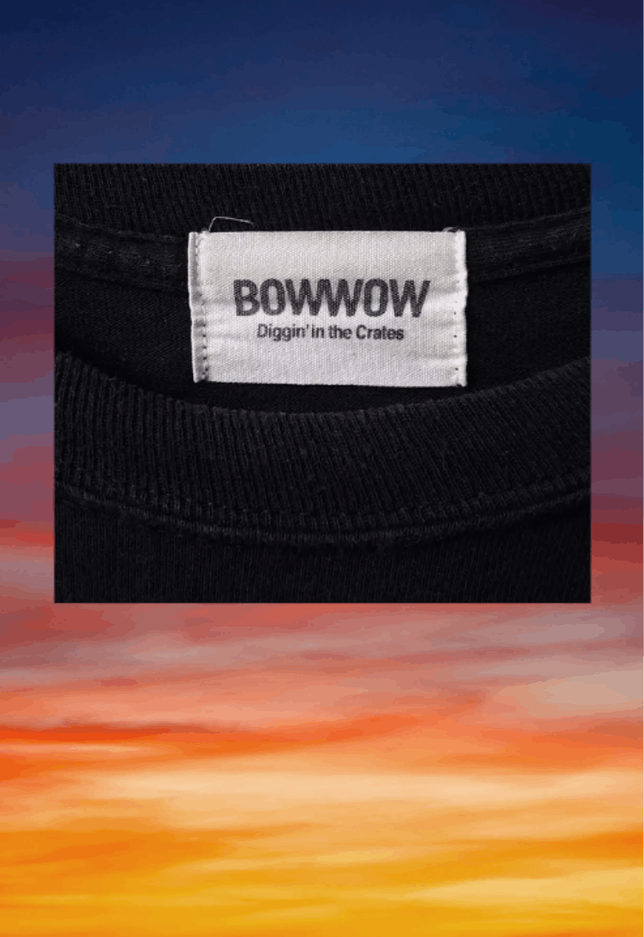 Band Tees Y2K streetwear BOWWOW YOUTH parody Sonic Youth GOO Size US M / EU 48-50 / 2 - 3 Thumbnail