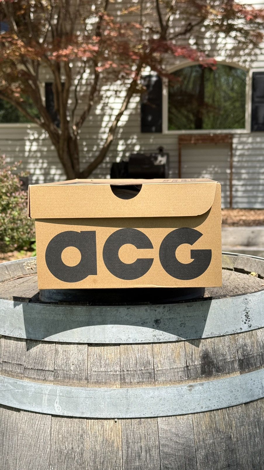 Nike ACG Nike ACG Mountain Fly Low Size US 10.5 / EU 43-44 - 11 Thumbnail