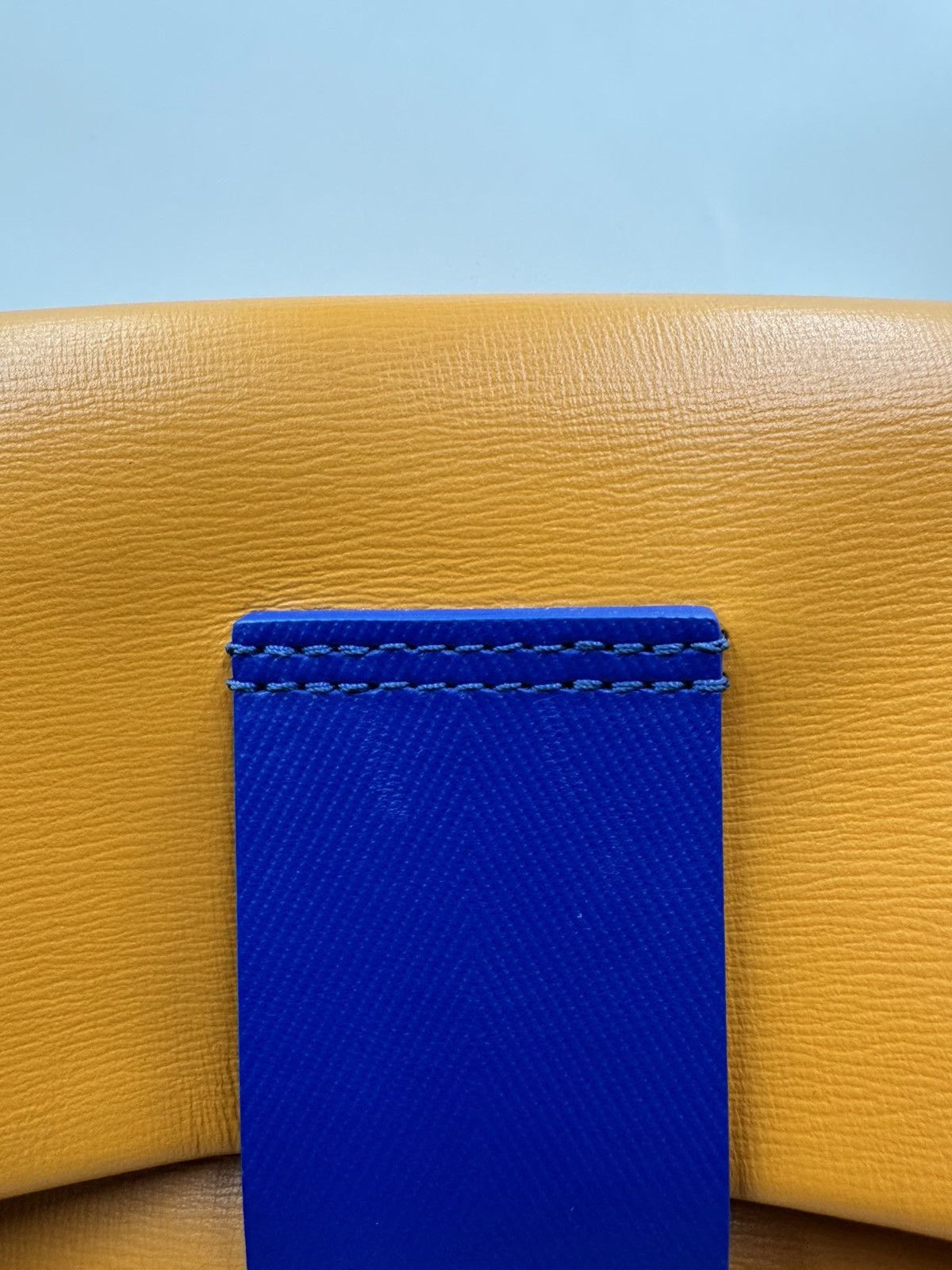Louis Vuitton Louis Vuitton Sandwich Bag Safran Size 32 - 11 Thumbnail
