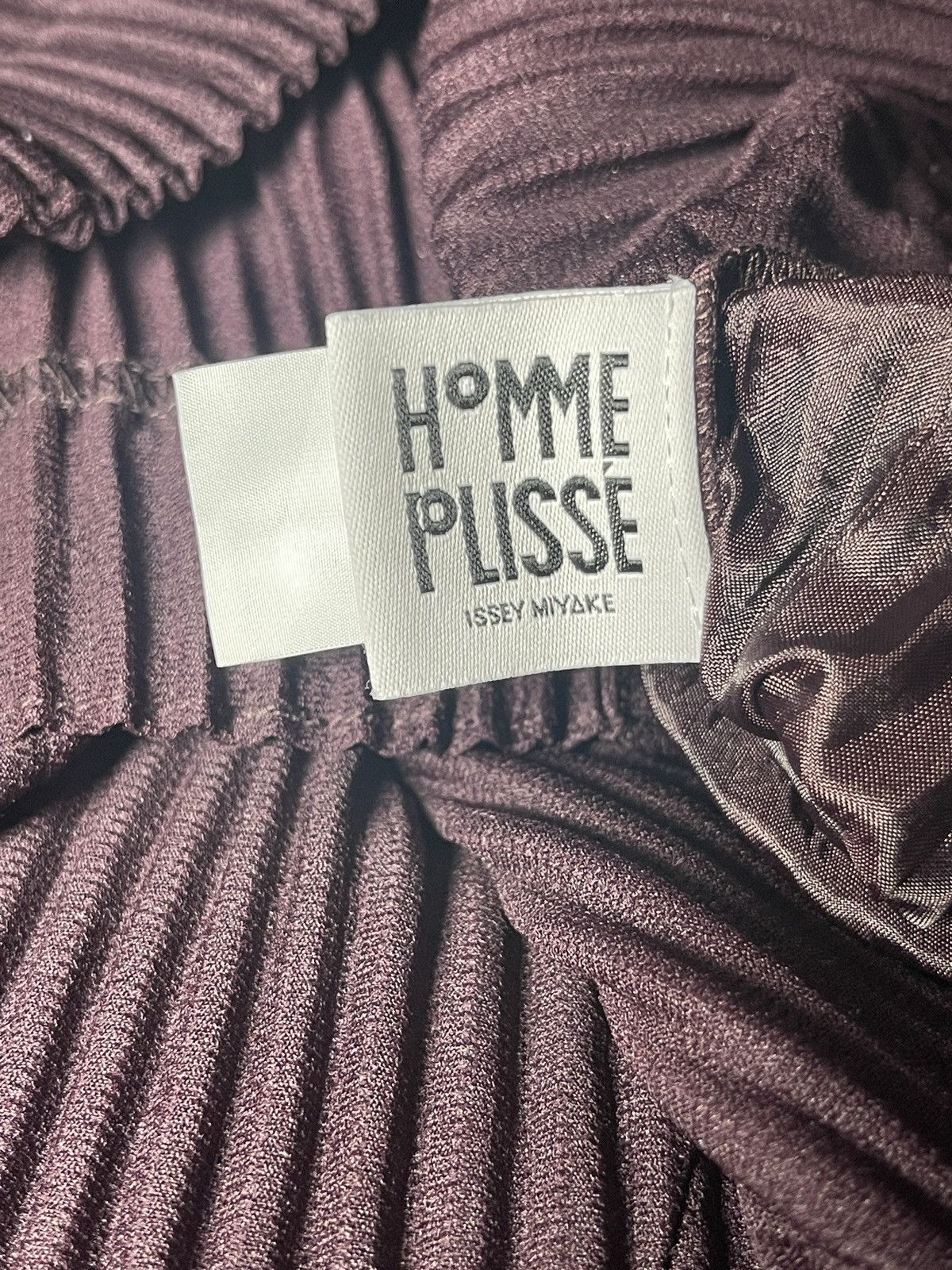 Homme Plisse Issey Miyake × Issey Miyake × Pleats Please Issey Miyake Issey Miyake Homme Plisse pleated trousers Size US 30 / EU 46 - 3 Thumbnail