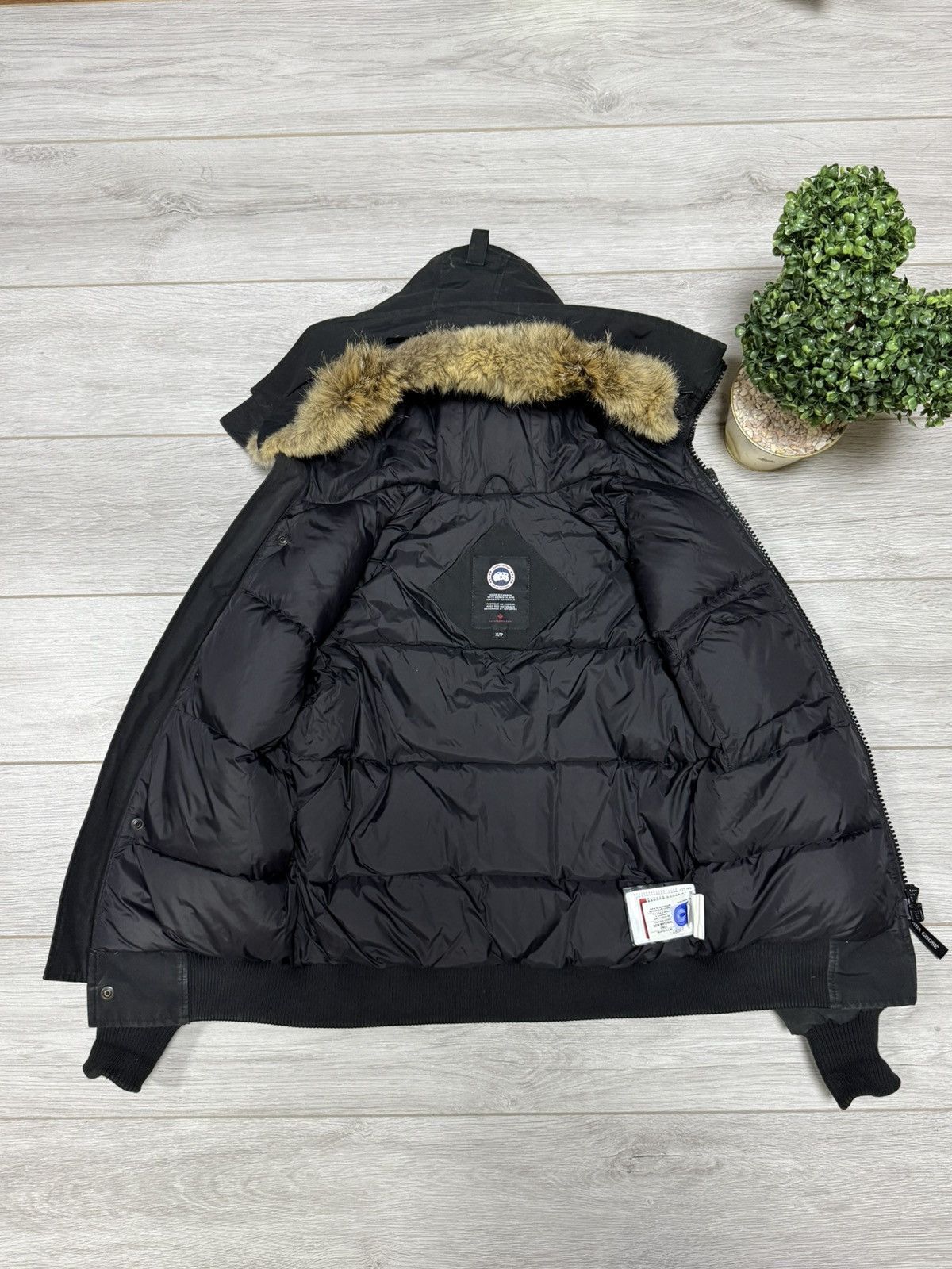 Canada Goose Canada Goose chilliwack bomber fur jacket down Size US S / EU 44-46 / 1 - 10 Thumbnail