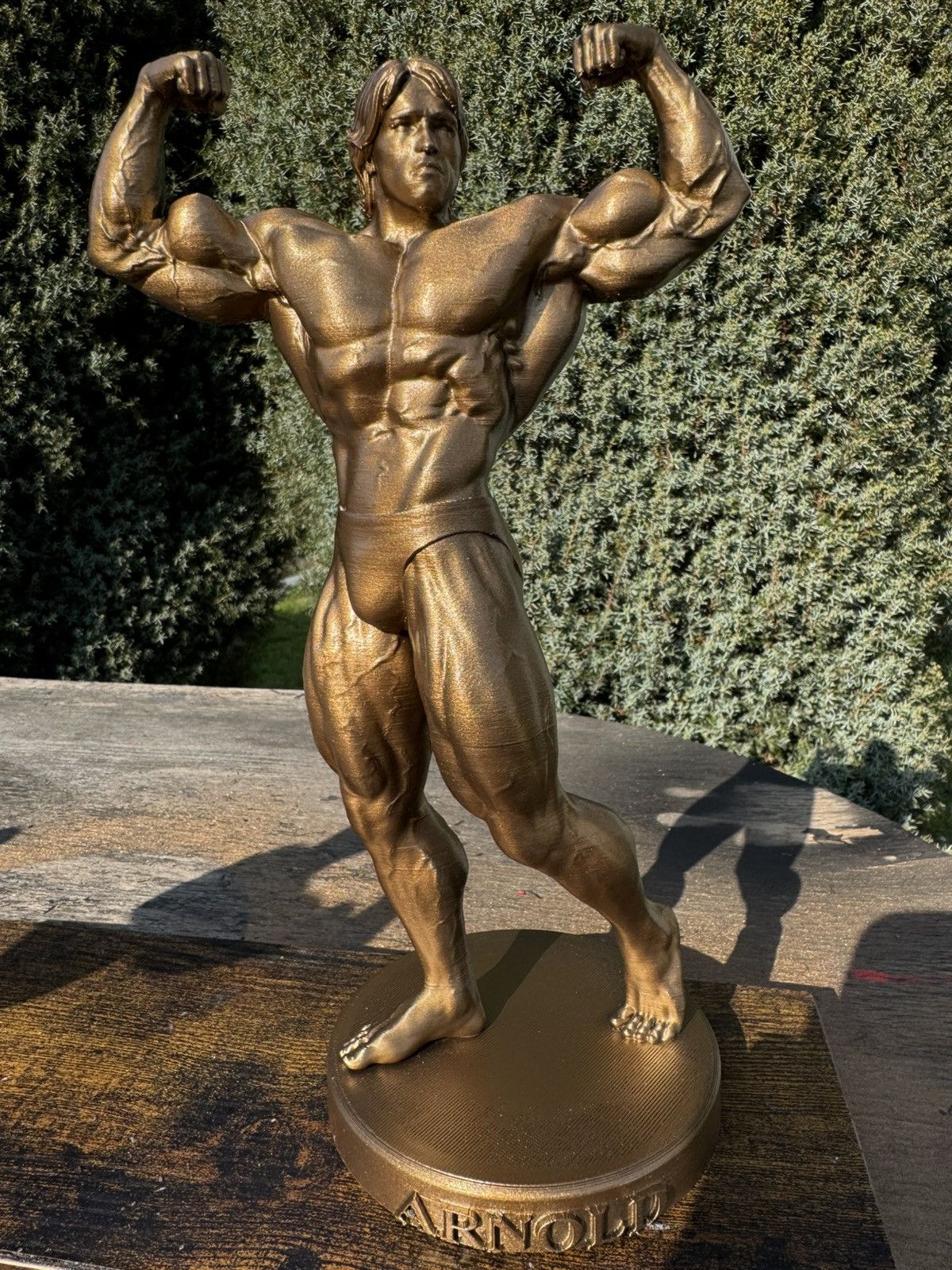 Other Gym statue Arnold Schwarzenegger 37cm Size ONE SIZE - 2 Thumbnail