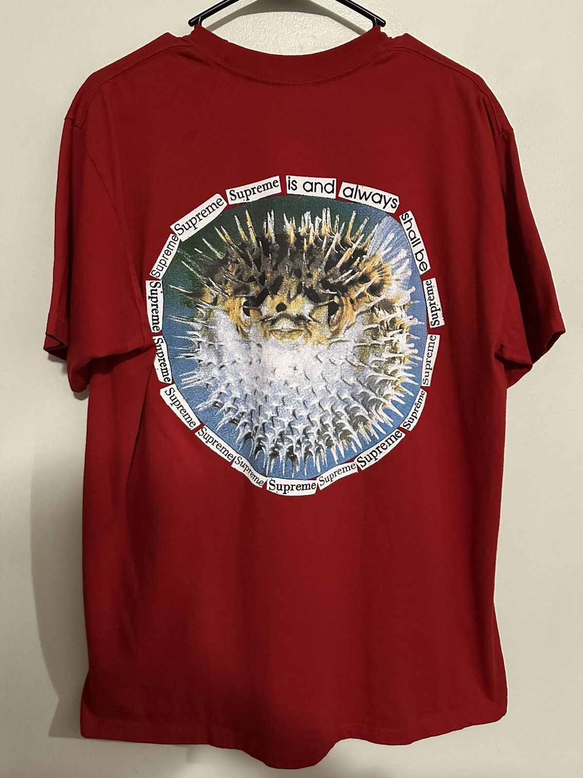 Supreme Supreme Blowfish Tee Size US L / EU 52-54 / 3 - 1 Thumbnail