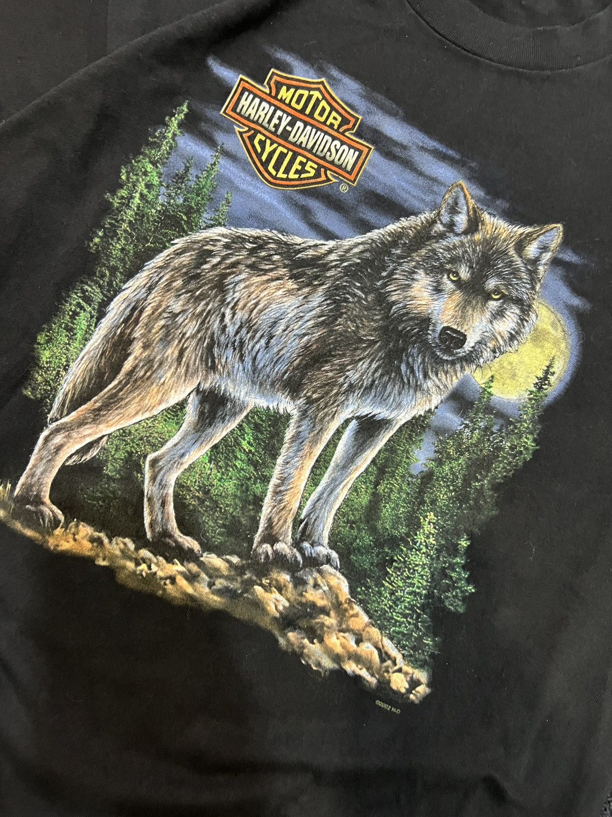 Harley Davidson × Vintage Vintage 00s Wolf Eagle T-shirt Size L Size US L / EU 52-54 / 3 - 3 Thumbnail