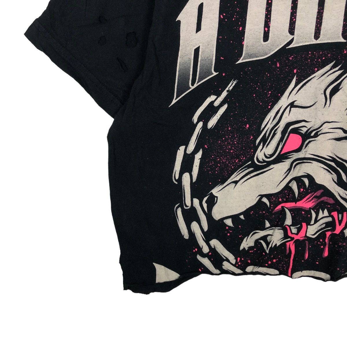 Band Tees 🔥Pick Distressed Seditionaries Cropped Tee Band A Day To Size US M / EU 48-50 / 2 - 4 Thumbnail