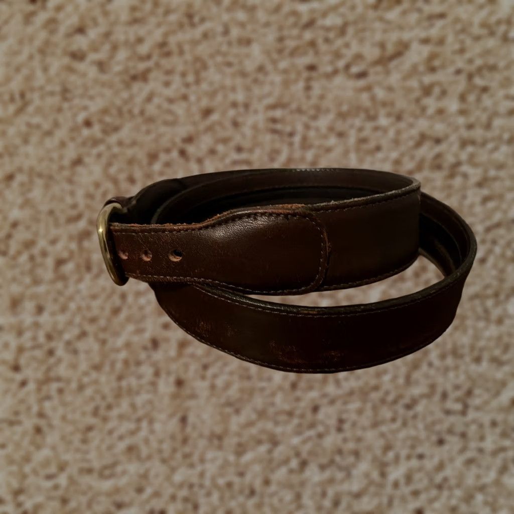 Dooney & Bourke VINTAGE Dooney & Bourke 4712 Brass Buckle Brown Leather Zip Money Belt Men 34 Belt Brown Leather Brass Money 4712 Mens 34 Size 34 - 1 Thumbnail