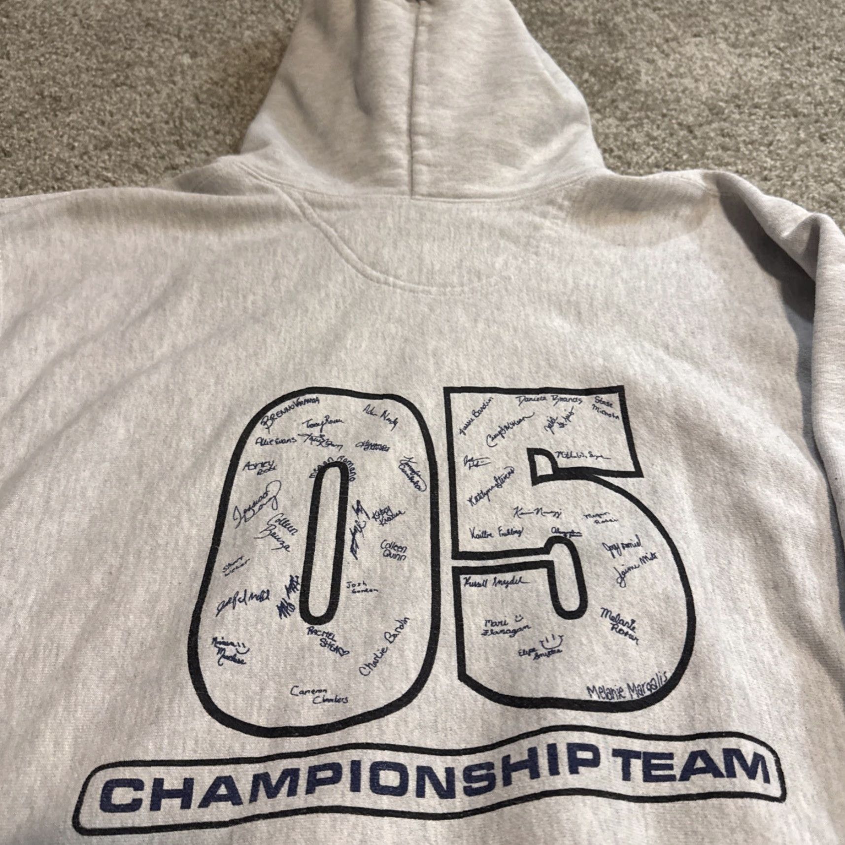 Champion VINTAGE Champion Reverse Weave Hoodie Sweatshirt XL Gray Reversible High School Y2K Champion Unisex Adults Mens Womens Girls Boys Size US XL / EU 56 / 4 - 4 Thumbnail
