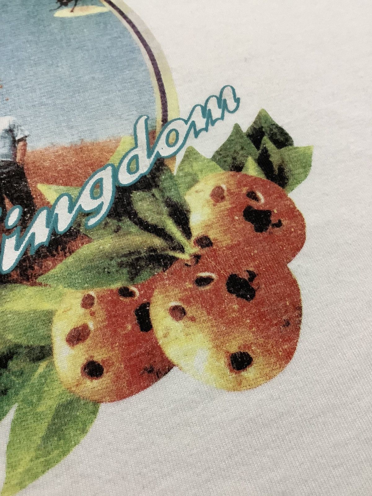 Band Tees × Bershka × Vintage Vintage No Doubt Tragic Kingdom Band Tee Size XS / US 0-2 / IT 36-38 - 13 Thumbnail