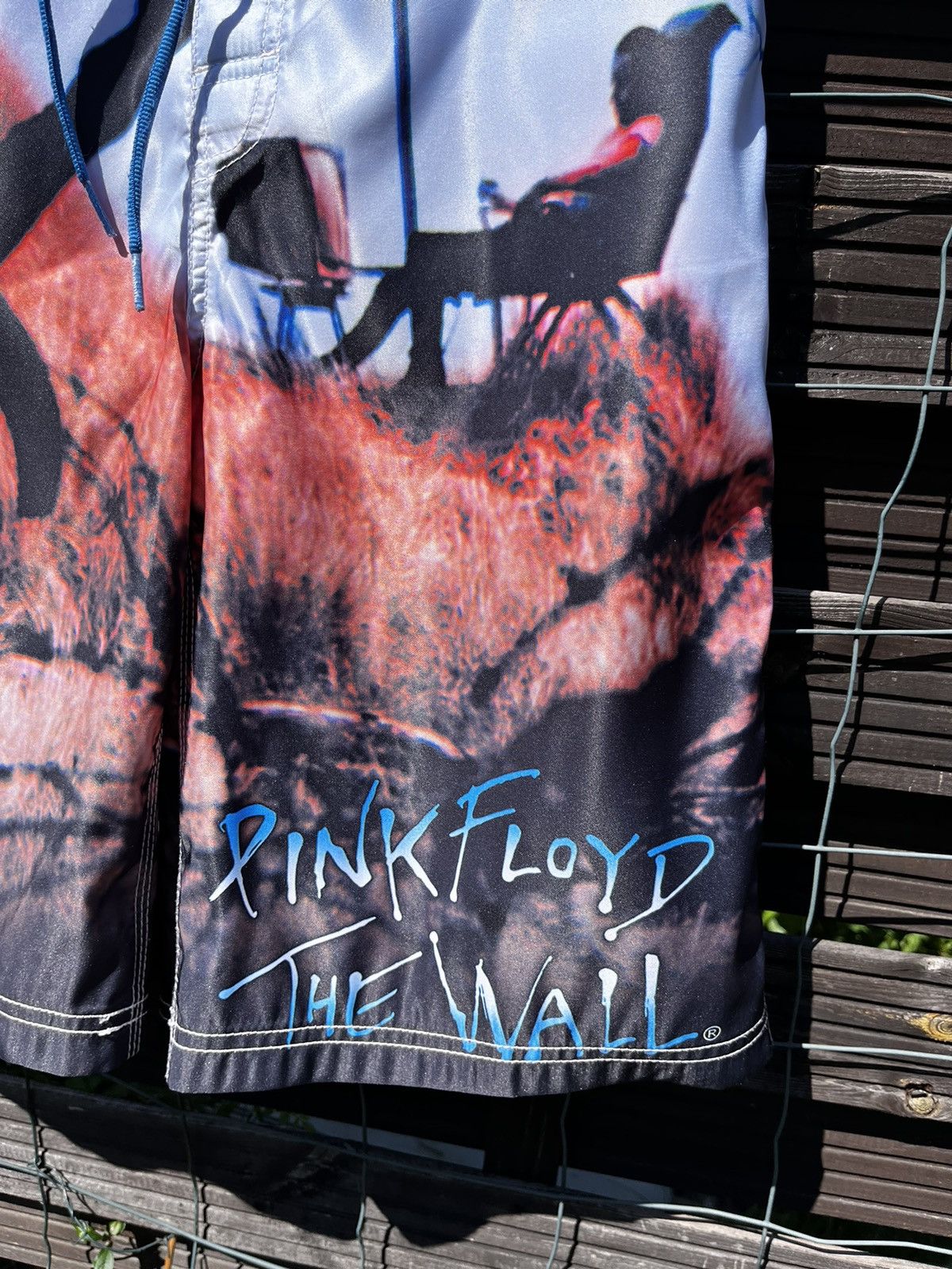 Pink Floyd × Vintage 🎸 PINK FLOYD THE WALL DRAGONFLY RARE SURF SHORTS Y2K TRUNKS Size US 32 / EU 48 - 4 Thumbnail