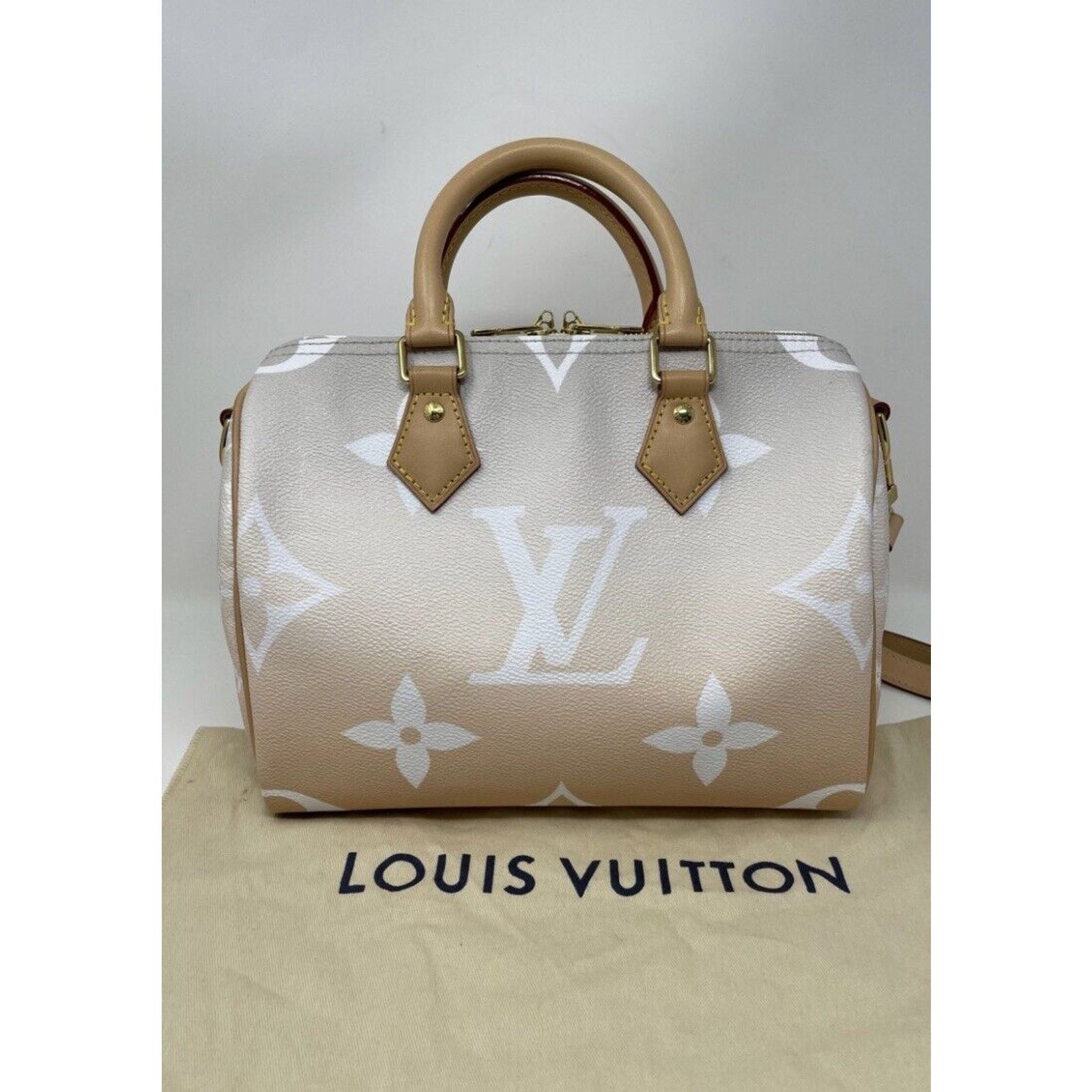 Louis Vuitton Louis Vuitton Speedy 25 Bandouliere By the Pool Mist Color Size ONE SIZE - 11 Thumbnail