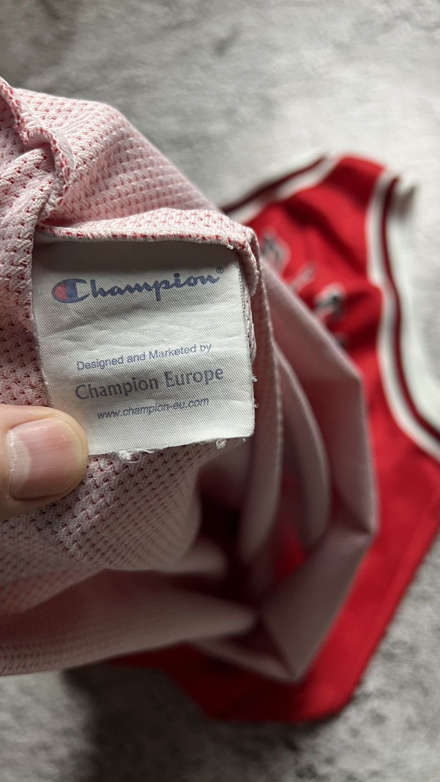 Champion VTG 90’s Chicago Bulls NBA Tyson Chandler champion jersey Size US XL / EU 56 / 4 - 9 Thumbnail