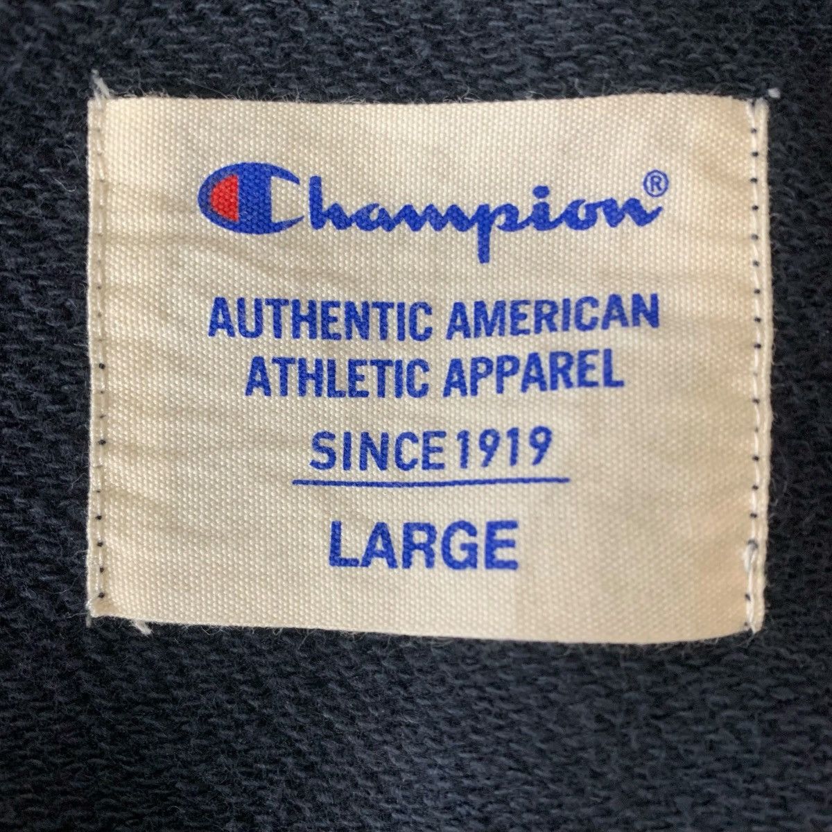 Champion Vintage Champion Athletic Apparel StreetWear Plain Hoodie Size US M / EU 48-50 / 2 - 7 Thumbnail