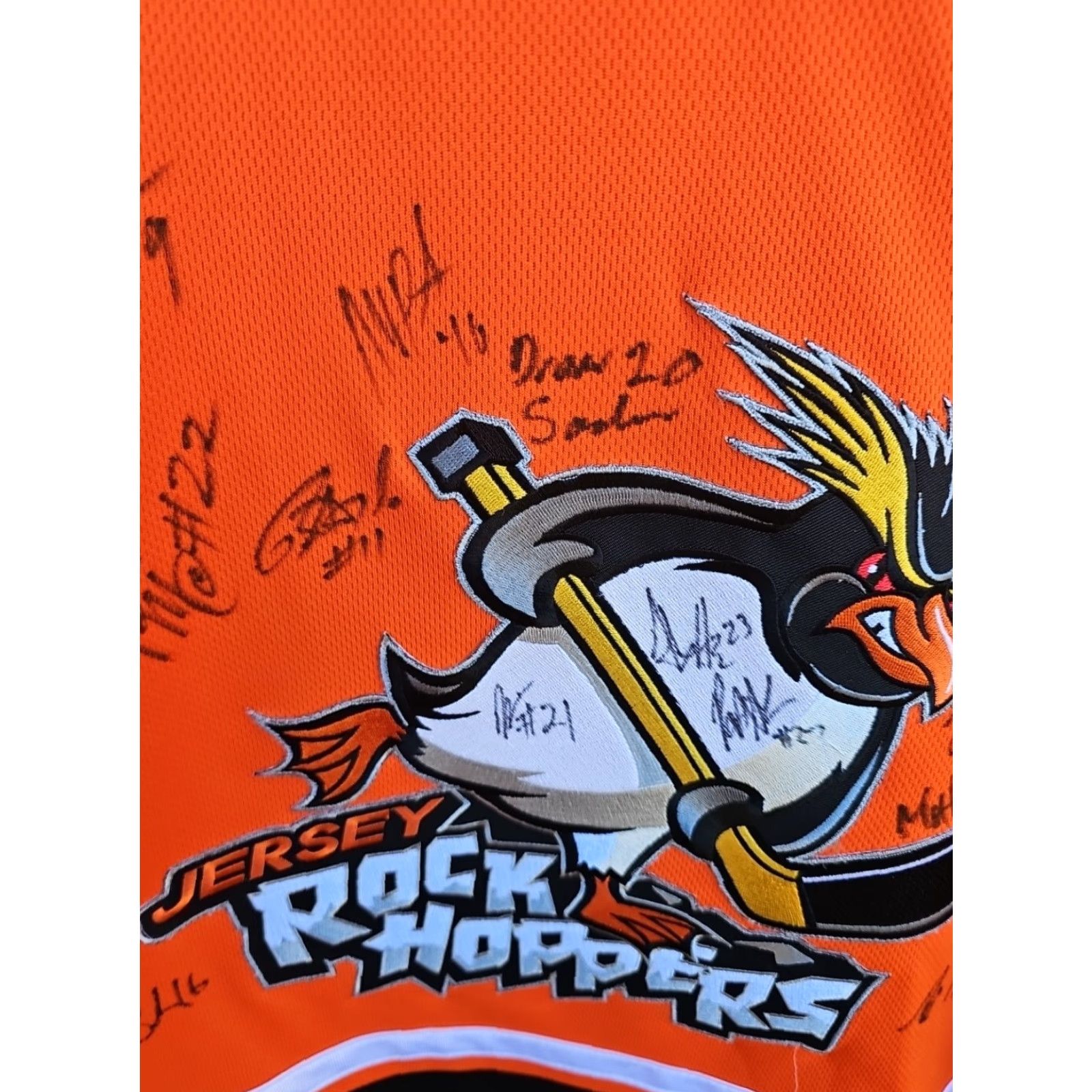 Vintage Signed Jersey Rockhoppers EPHL Hockey JERSEY DIZE MEDIUM Polo Mens Black Cotton Blend, Polyester Embroidered Ot sports 24 Chest 30 Length Size US M / EU 48-50 / 2 - 3 Thumbnail