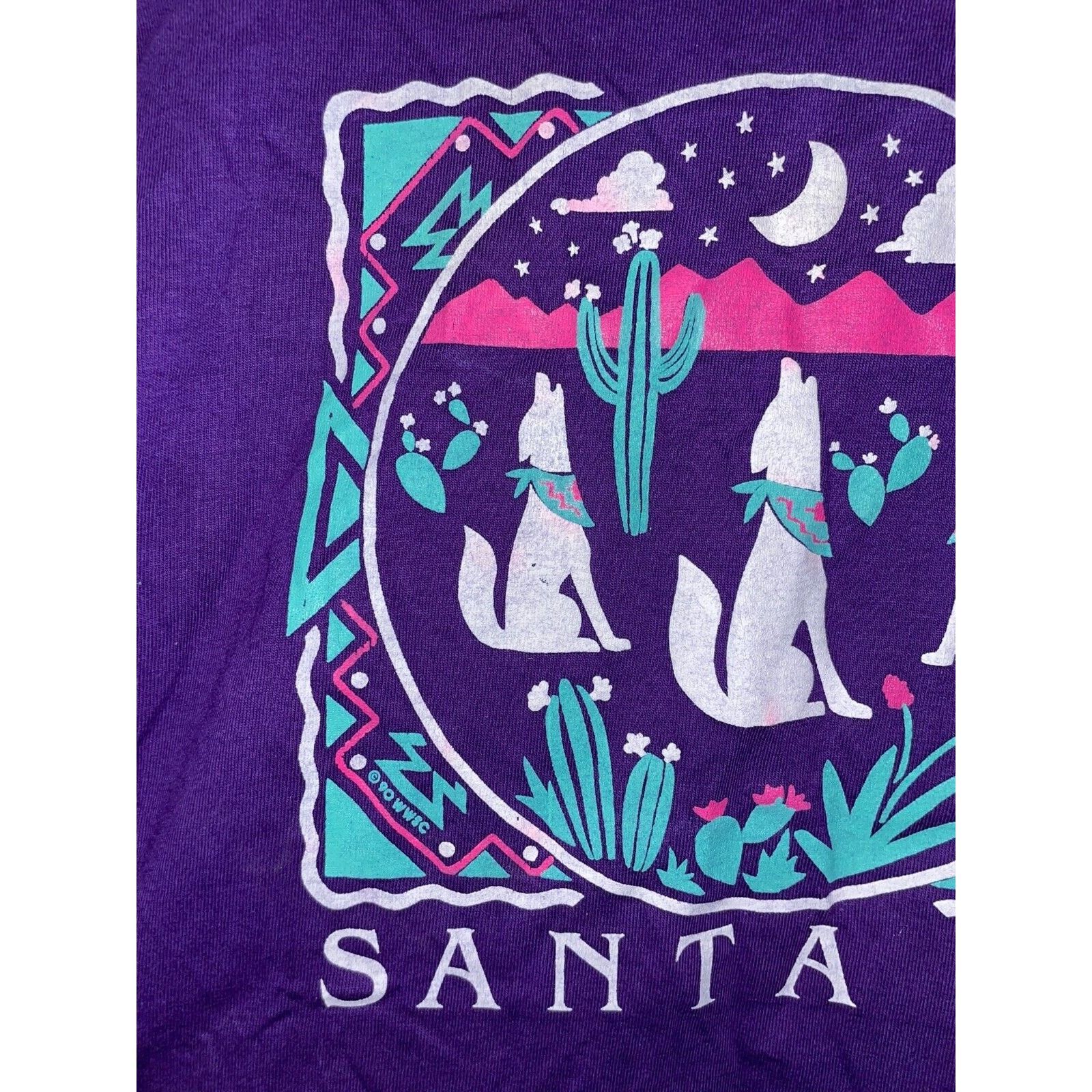 Jerzees Vintage Test Print Shirt Virginia Santa Fe Tee VTG 90s M Size US M / EU 48-50 / 2 - 10 Thumbnail