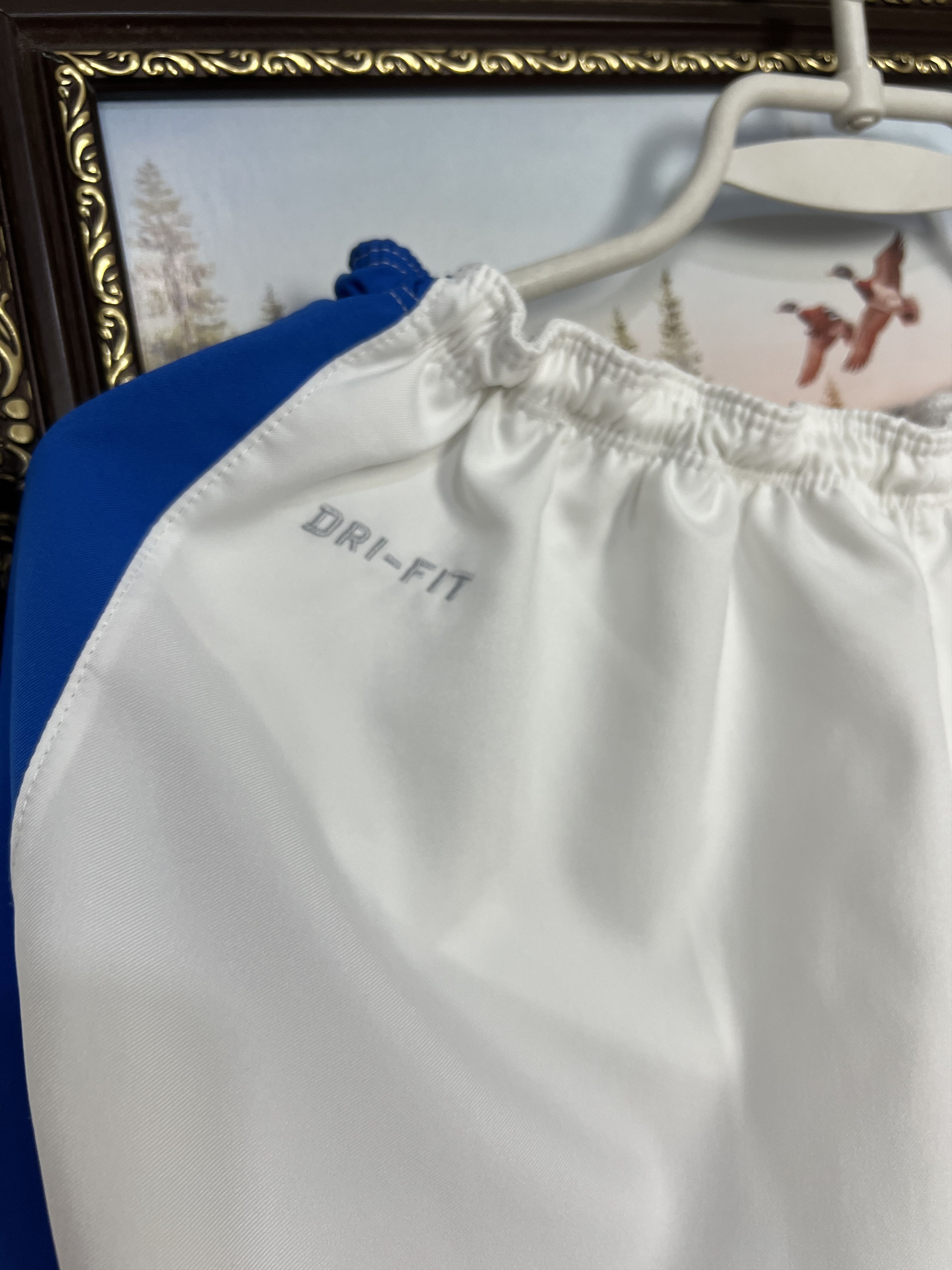 Nike Nike Zurich Football White Blue Shorts Soccer Mens Athletic Size US 36 / EU 52 - 4 Thumbnail