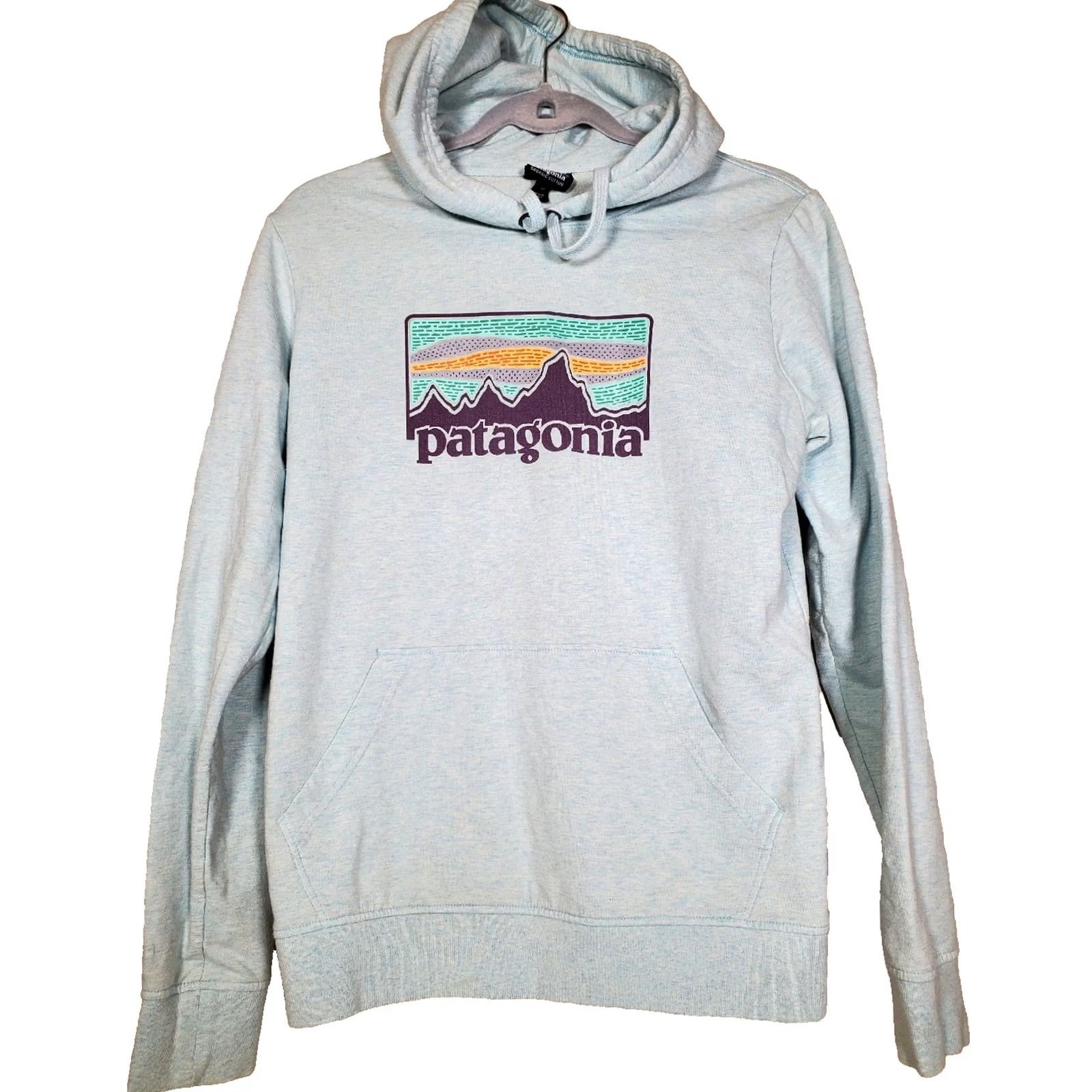 Patagonia Patagonia Sweatshirt Pullover Hoody Logo Heather Blue Women Size M Size M / US 6-8 / IT 42-44 - 2 Thumbnail