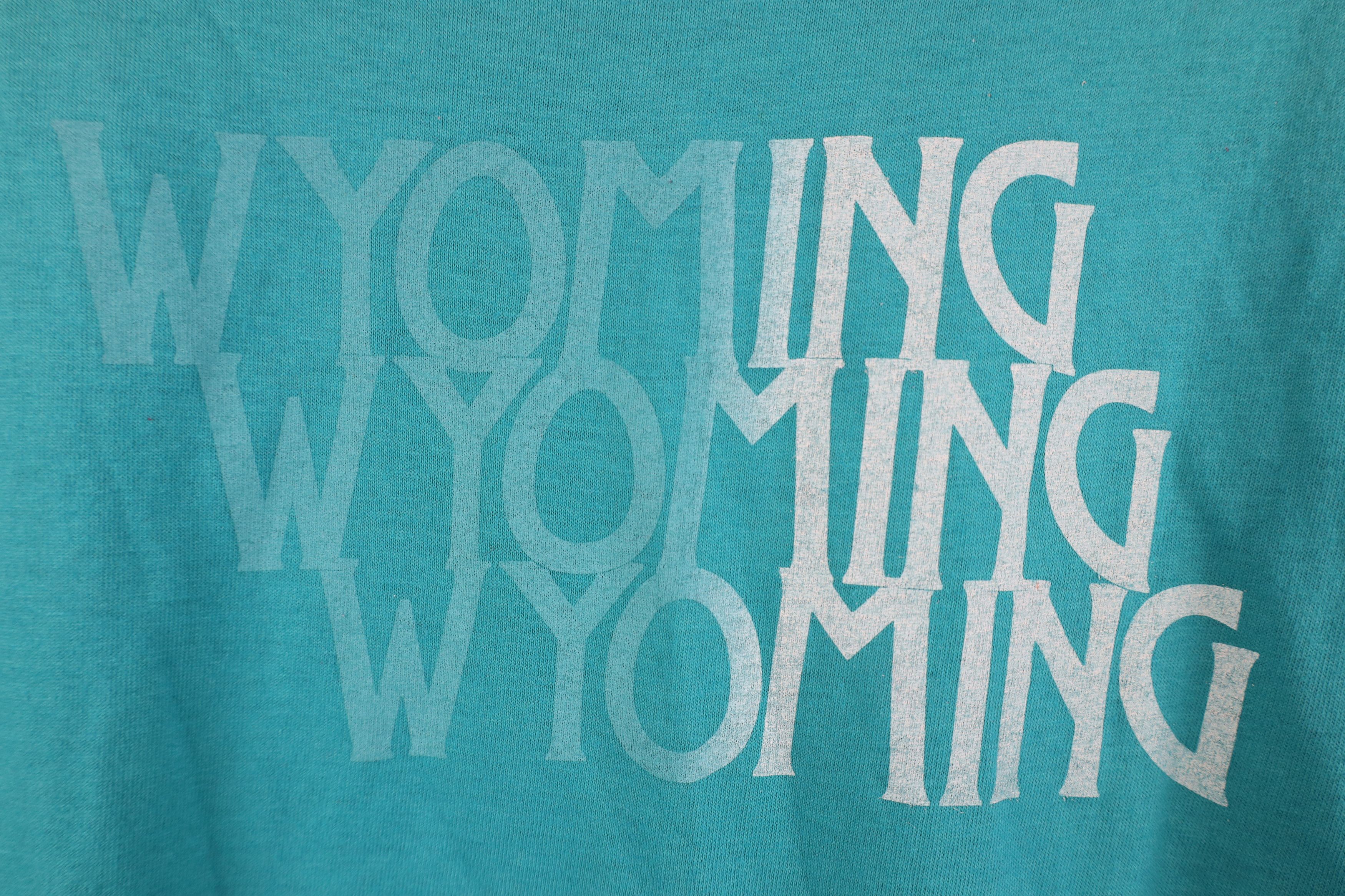 Vintage Vintage 70s 80s Streetwear Long Sleeve T-Shirt Blue USA Size US M / EU 48-50 / 2 - 4 Thumbnail