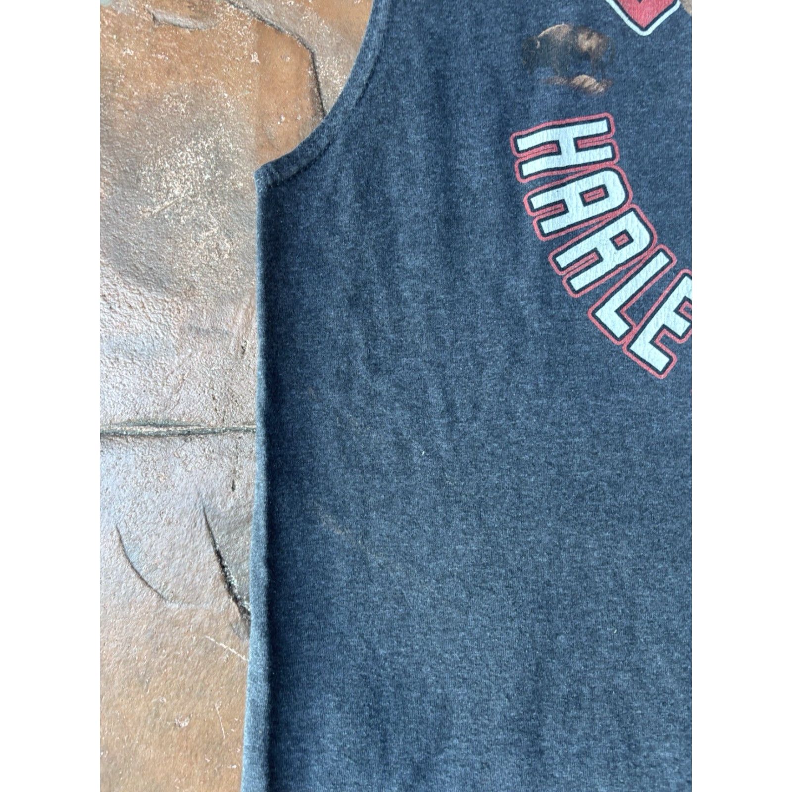 Harley Davidson VINTAGE Harley-Davidson Skull Tank Top Shirt XL Muscle Tee Men L Gray Cotton Buffalo New York Y2K Buffalo Skull Tank Top Shirt Harley-Davidson Size US L / EU 52-54 / 3 - 4 Thumbnail