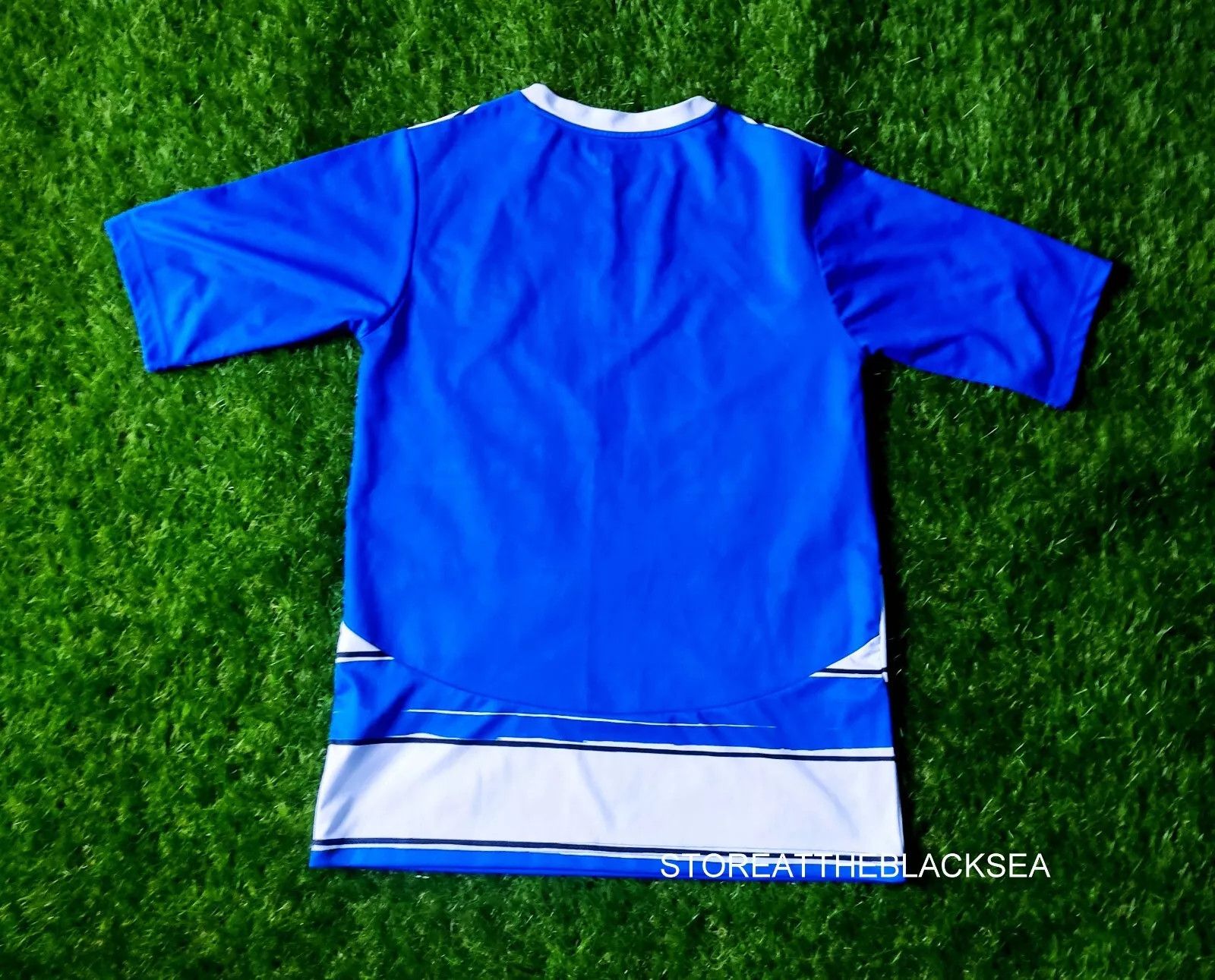 Puma Reading 2010 2011 HOME FOOTBALL JERSEY PUMA BLUE MEN M Size US M / EU 48-50 / 2 - 7 Thumbnail