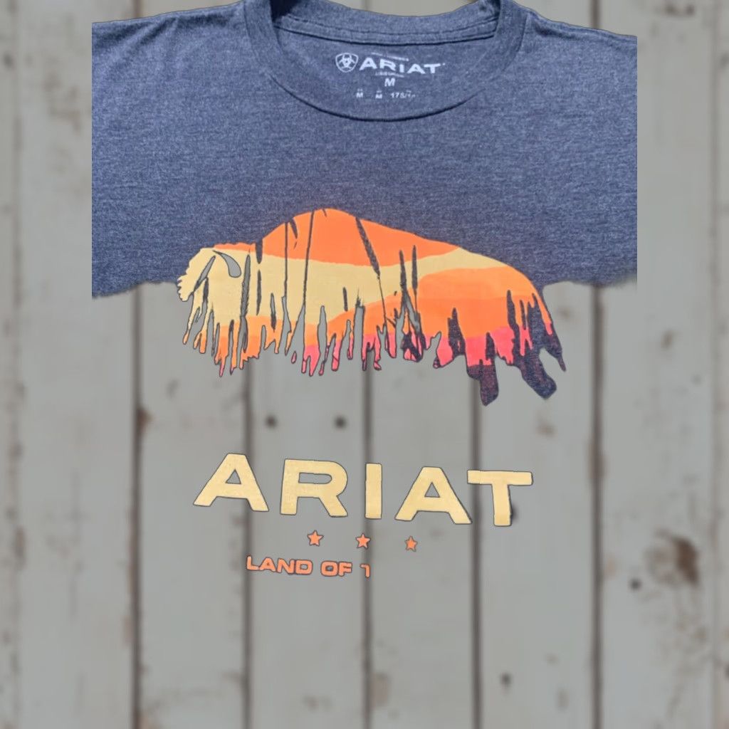 Ariat Ariat T-Shirt Medium Gray Mens Size US M / EU 48-50 / 2 - 1 Thumbnail