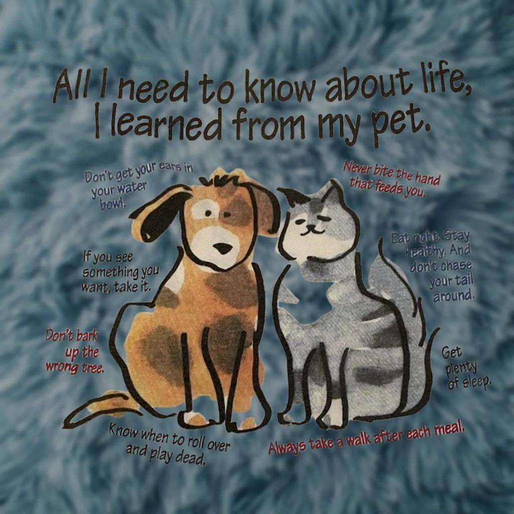 Vintage VINTAGE 90s Petsmart I Learned Everything From My Pets Faded Shirt XL White Dog Cat Funny T-Shirt Mens Size US XL / EU 56 / 4 - 1 Thumbnail