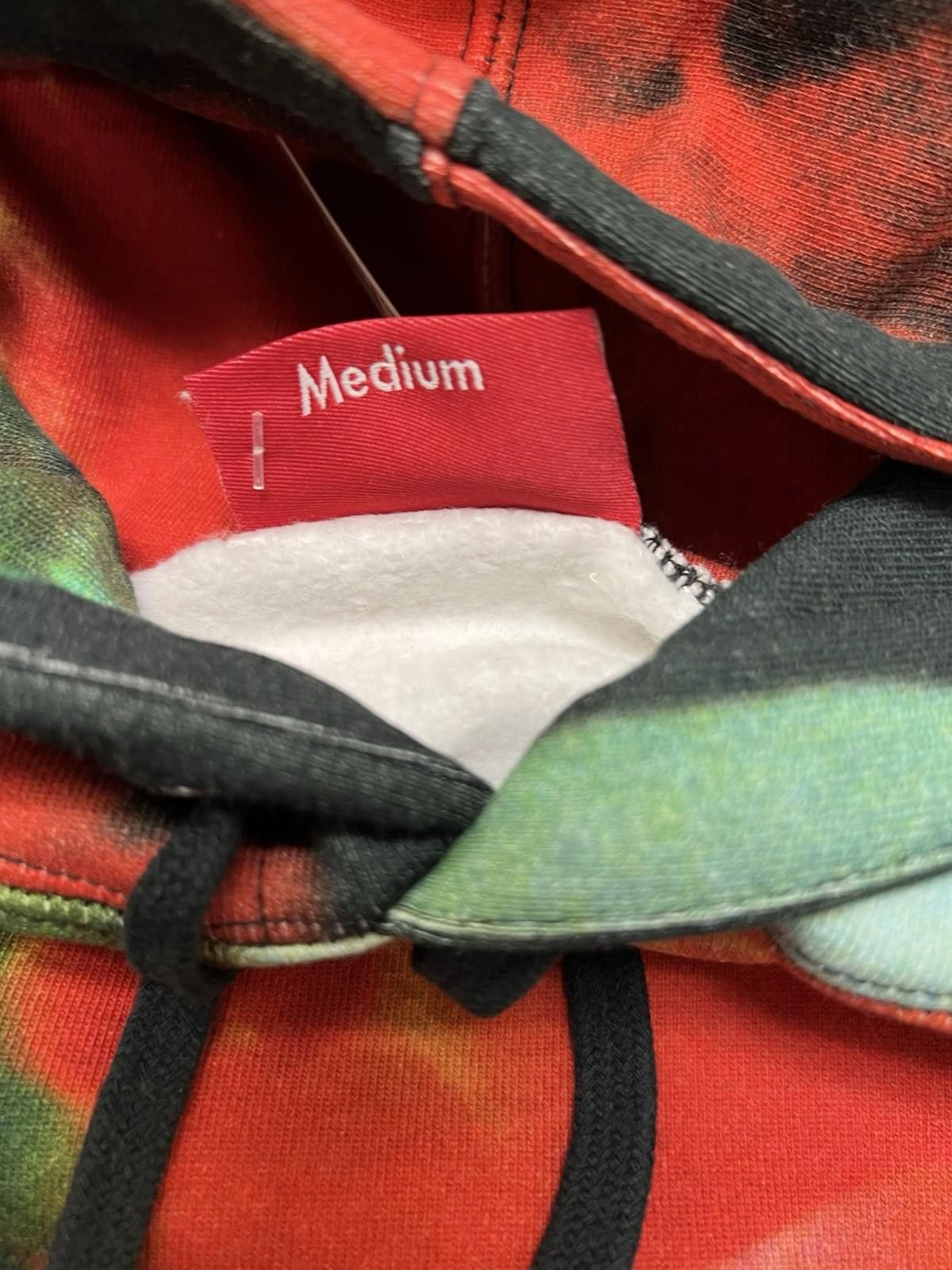 Supreme FW19 Supreme The Velvet Underground Nico Hooded Sweatshirt M Size US M / EU 48-50 / 2 - 5 Thumbnail