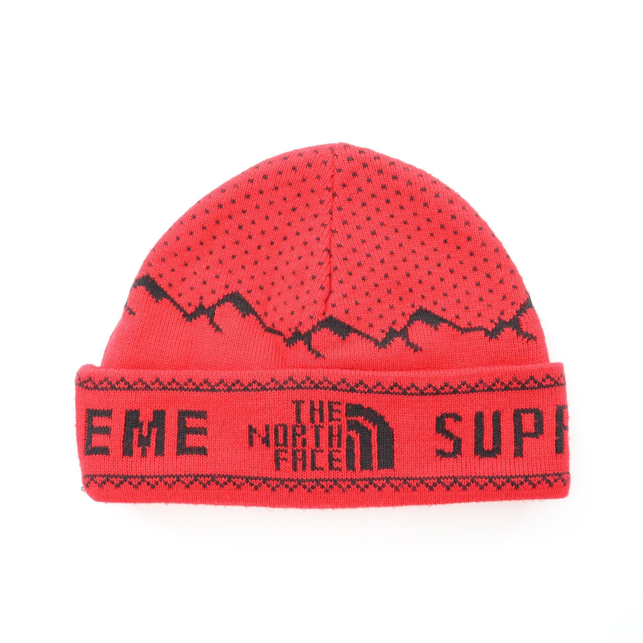 Supreme North Face Beanie | Grailed