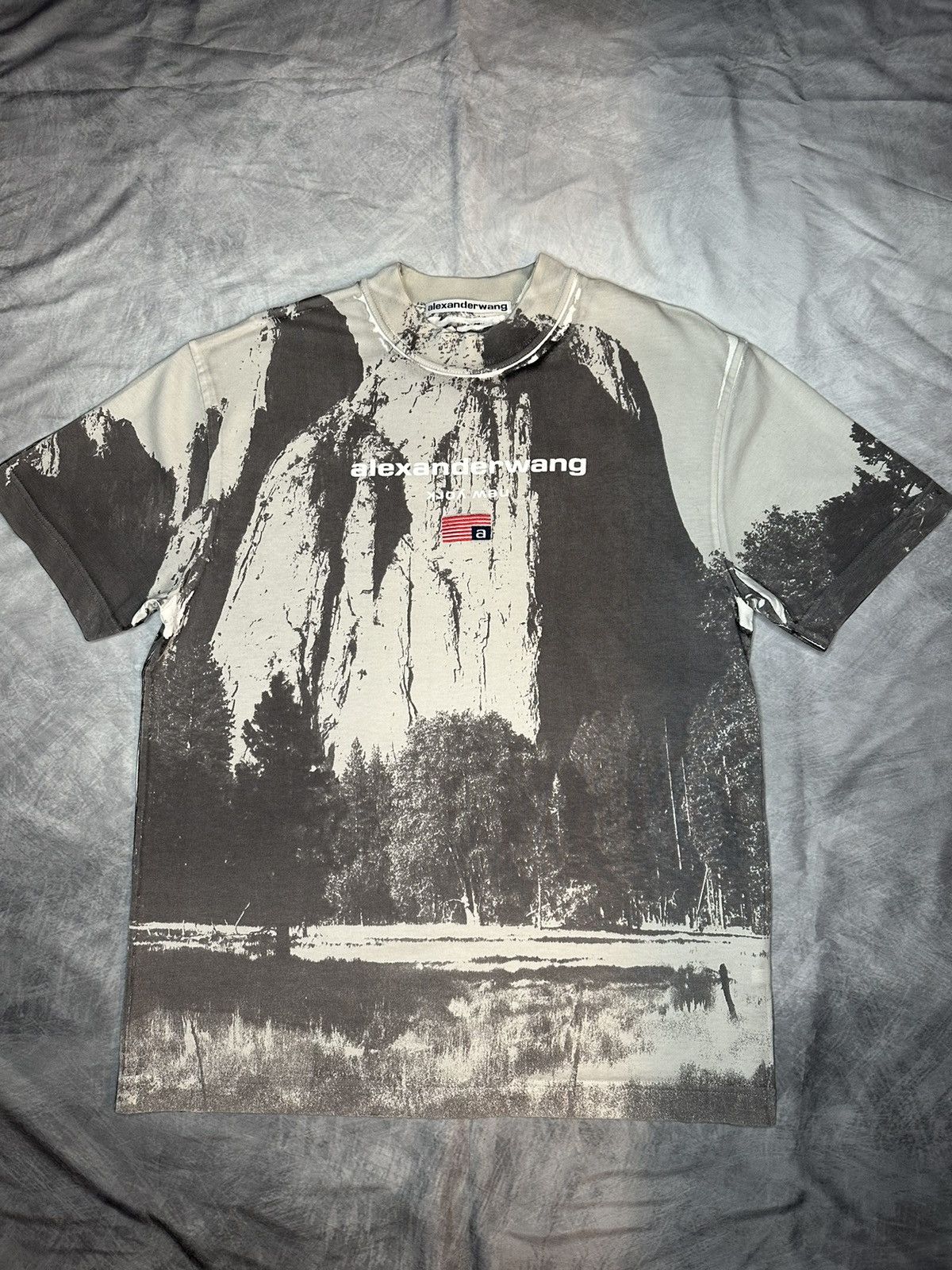 Alexander Wang × Japanese Brand Alexander Wang Cathedral Rock crew-neck T-shirt Size US S / EU 44-46 / 1 - 1 Thumbnail