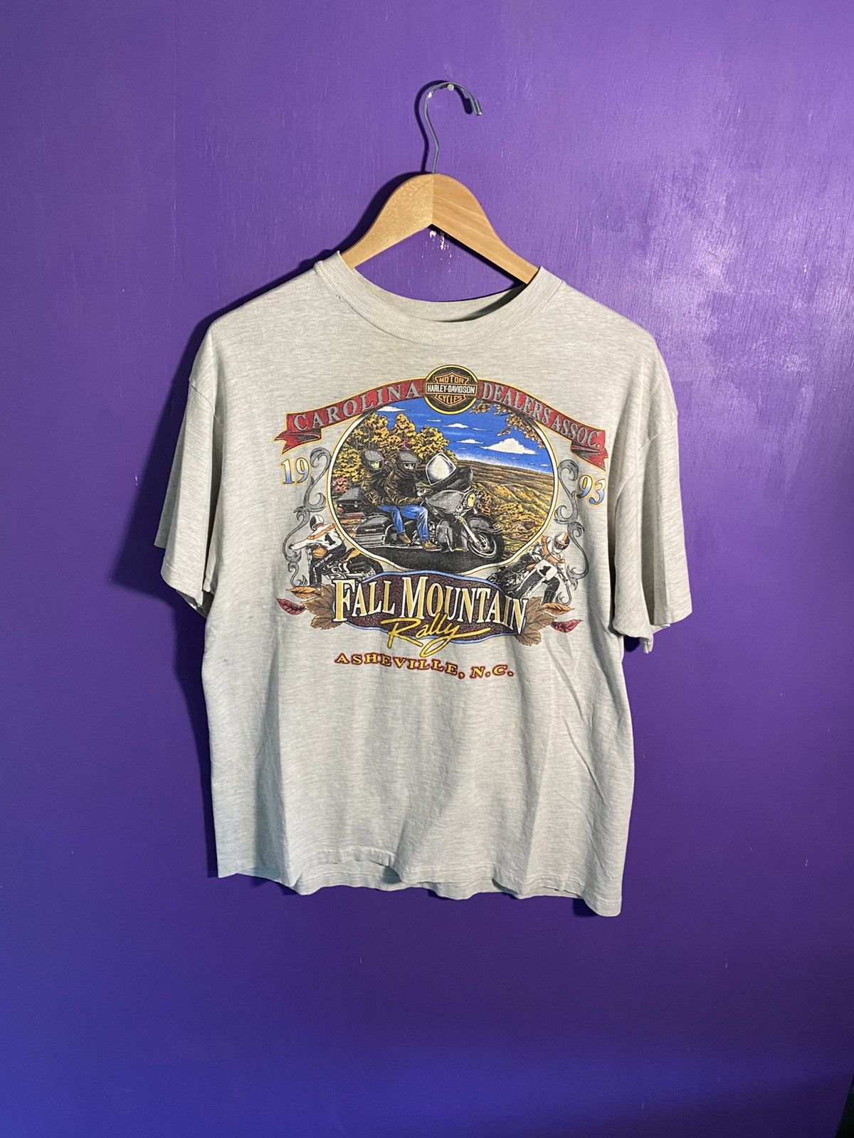 Harley Davidson Vintage 1993 Harley Davidson fall mountain t-shirt Size US L / EU 52-54 / 3 - 1 Thumbnail