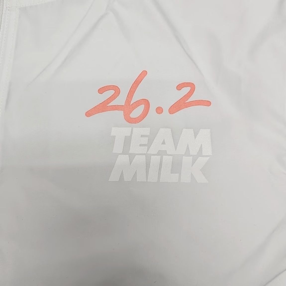 Champion Champion Running Jacket Windbreaker Small White Women’s 2024 Momentum Rabbit Marathon Lightweight Activewear Spring Summer Fall Mens Womens Girls Size S / US 4 / IT 40 - 3 Thumbnail