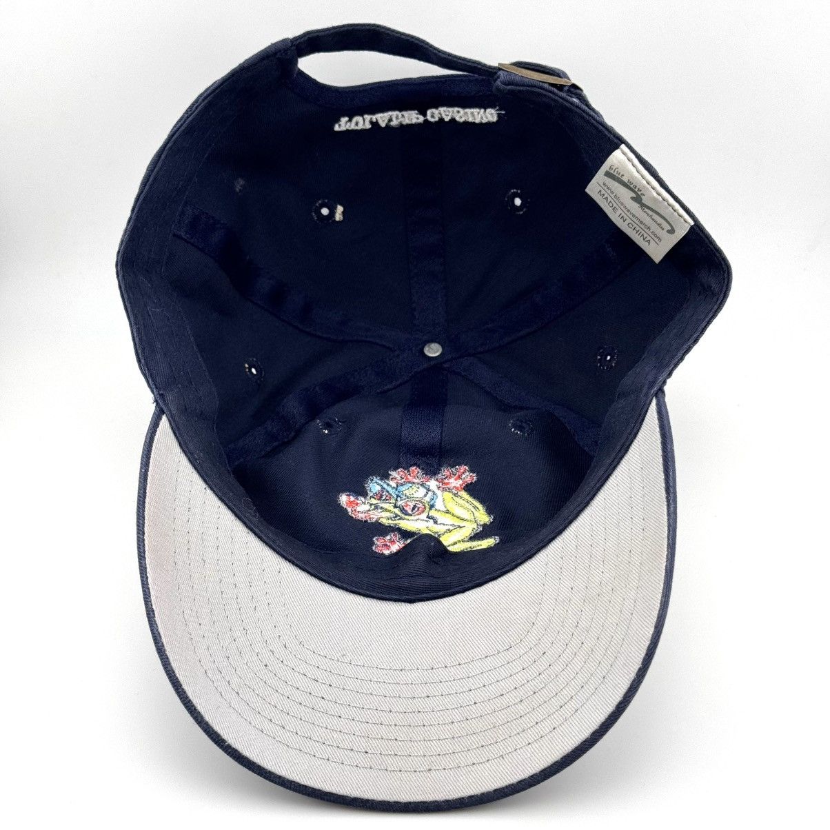 MLB Vtg Everett AquaSox Webbly Frog MiLB Mariners Affiliate Hat Size ONE SIZE - 5 Thumbnail